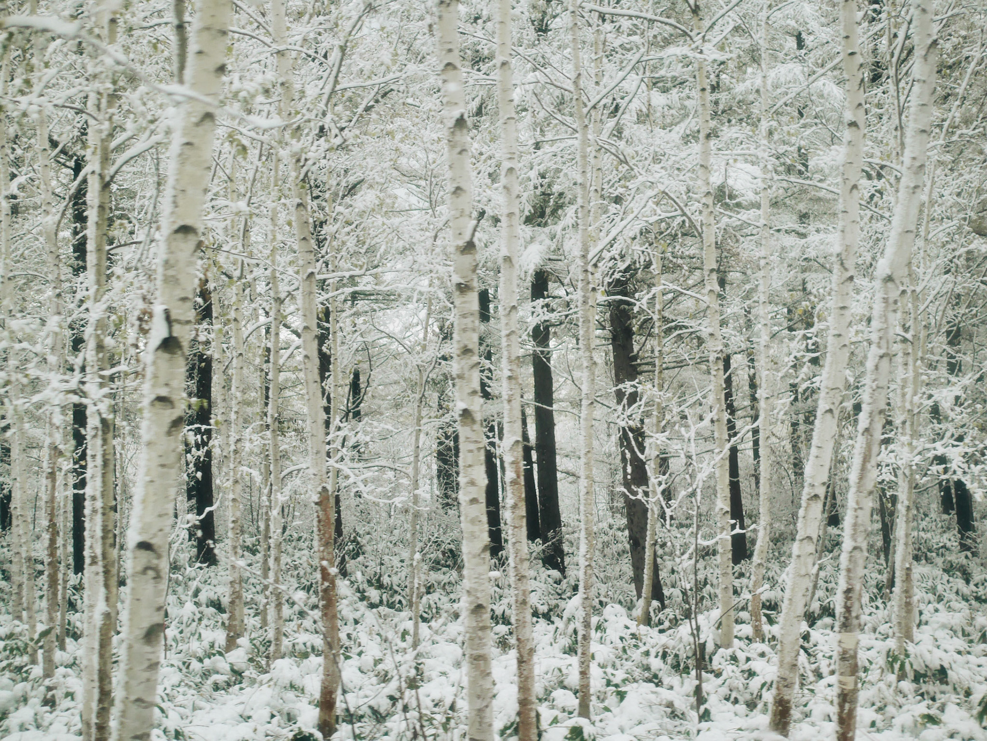 Processed with VSCO with a6 preset