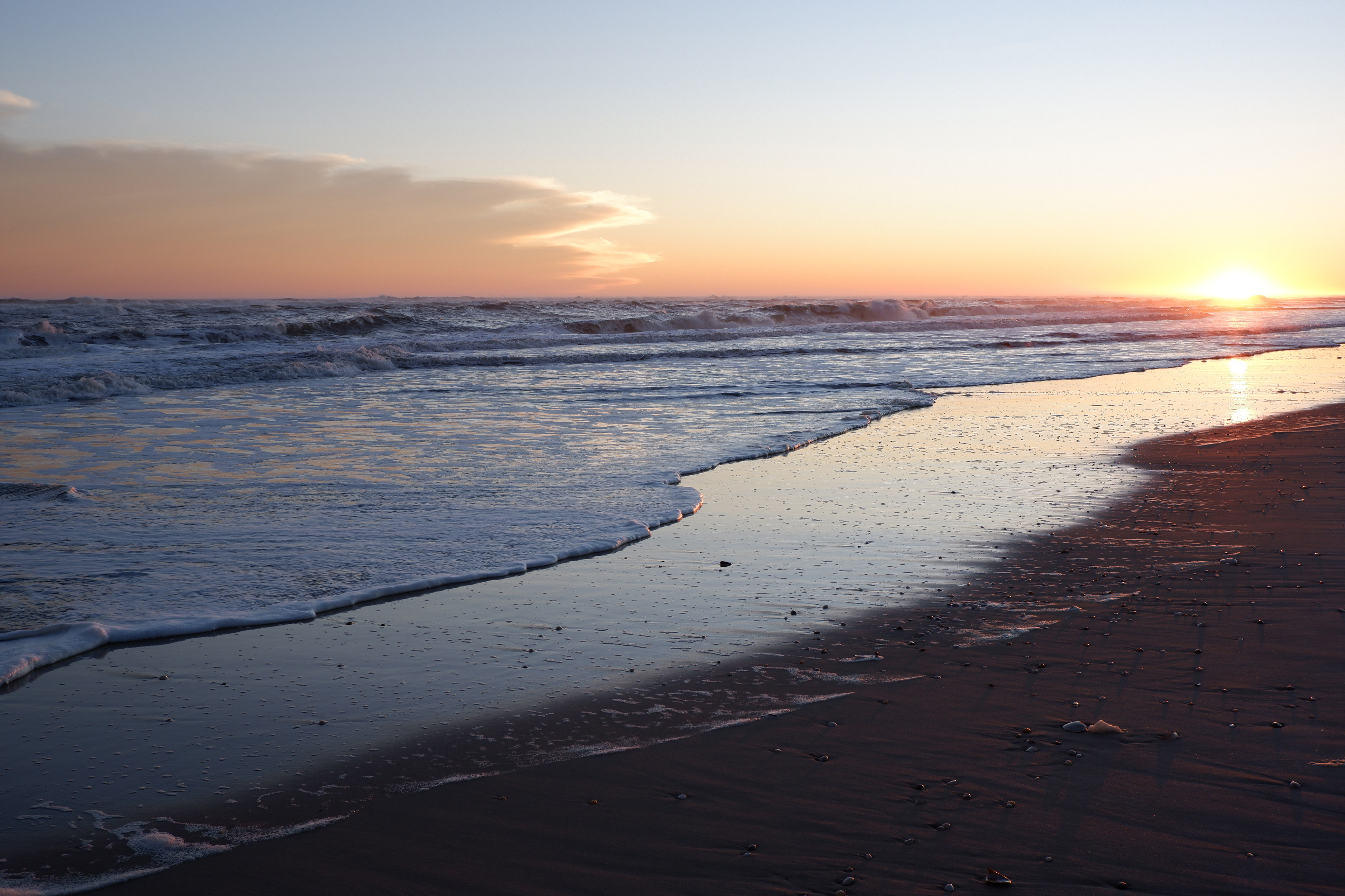 Shore in the winter