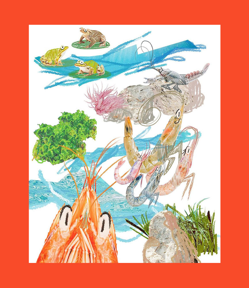 collage art for NABA's school project
