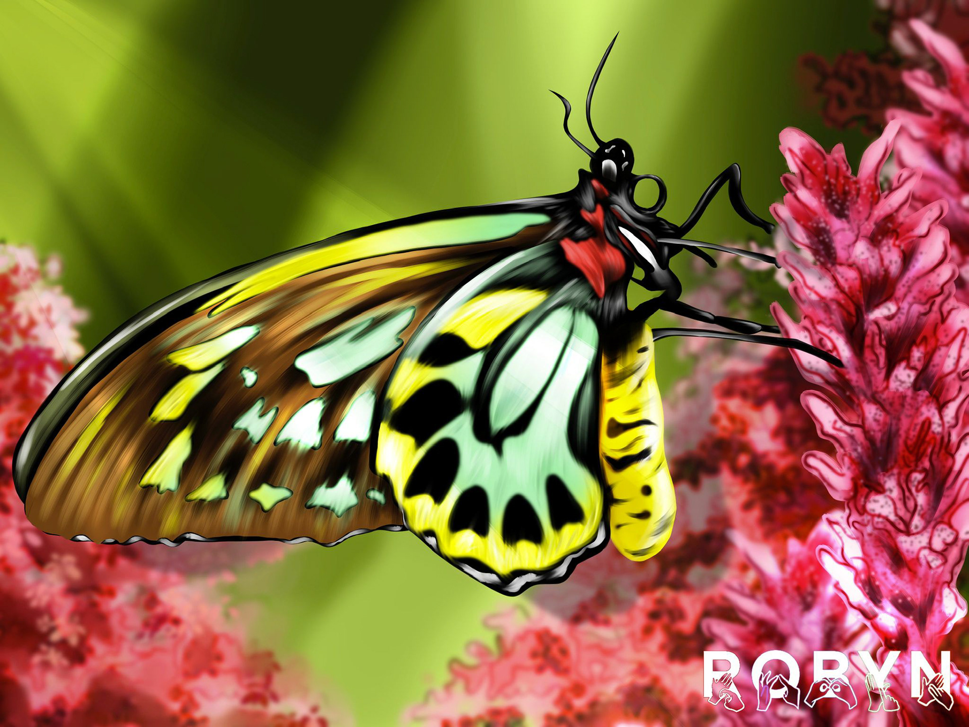 Q ~ Queen Alexandra Bigdwwing