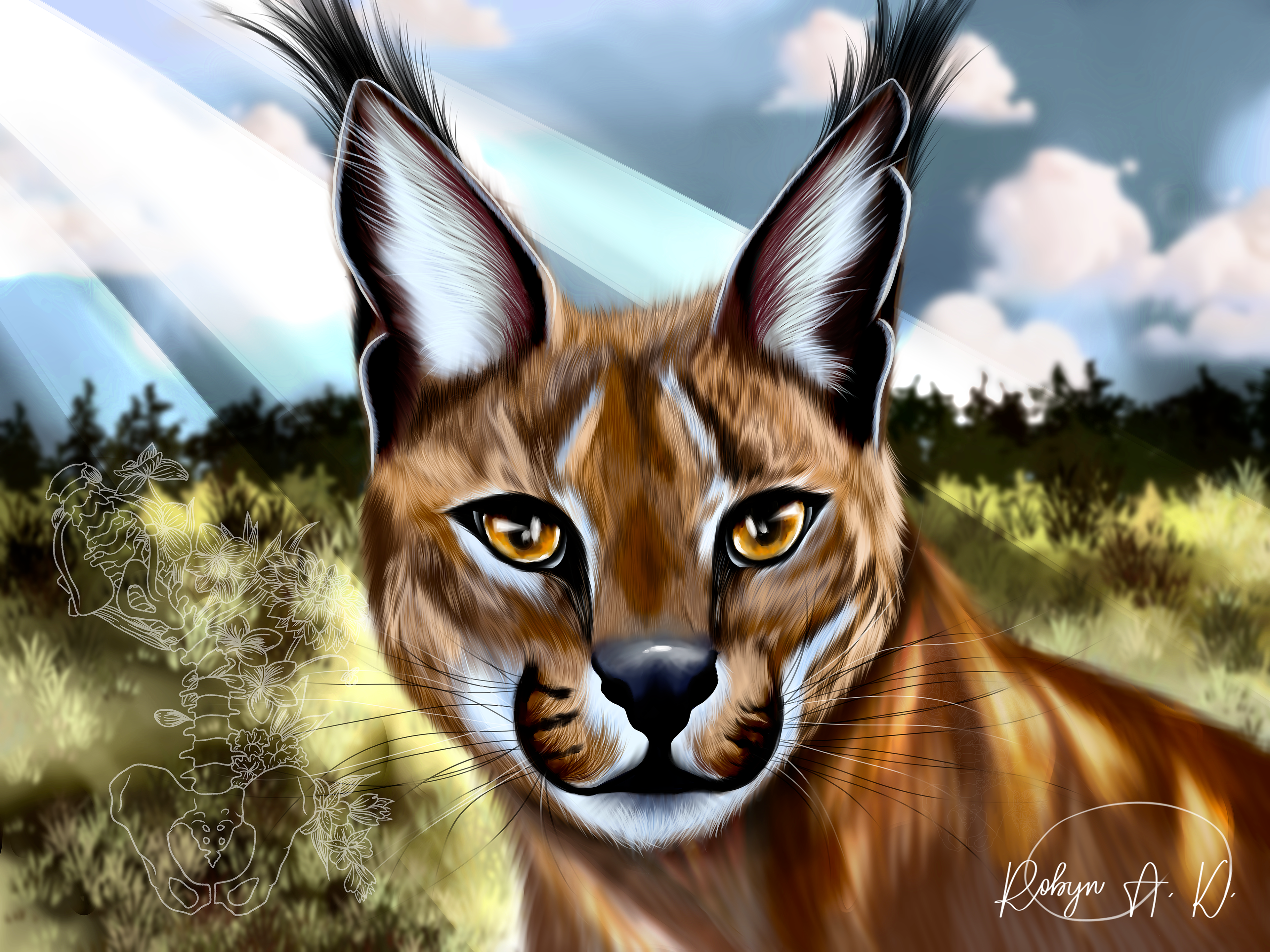 C ~ Caracal