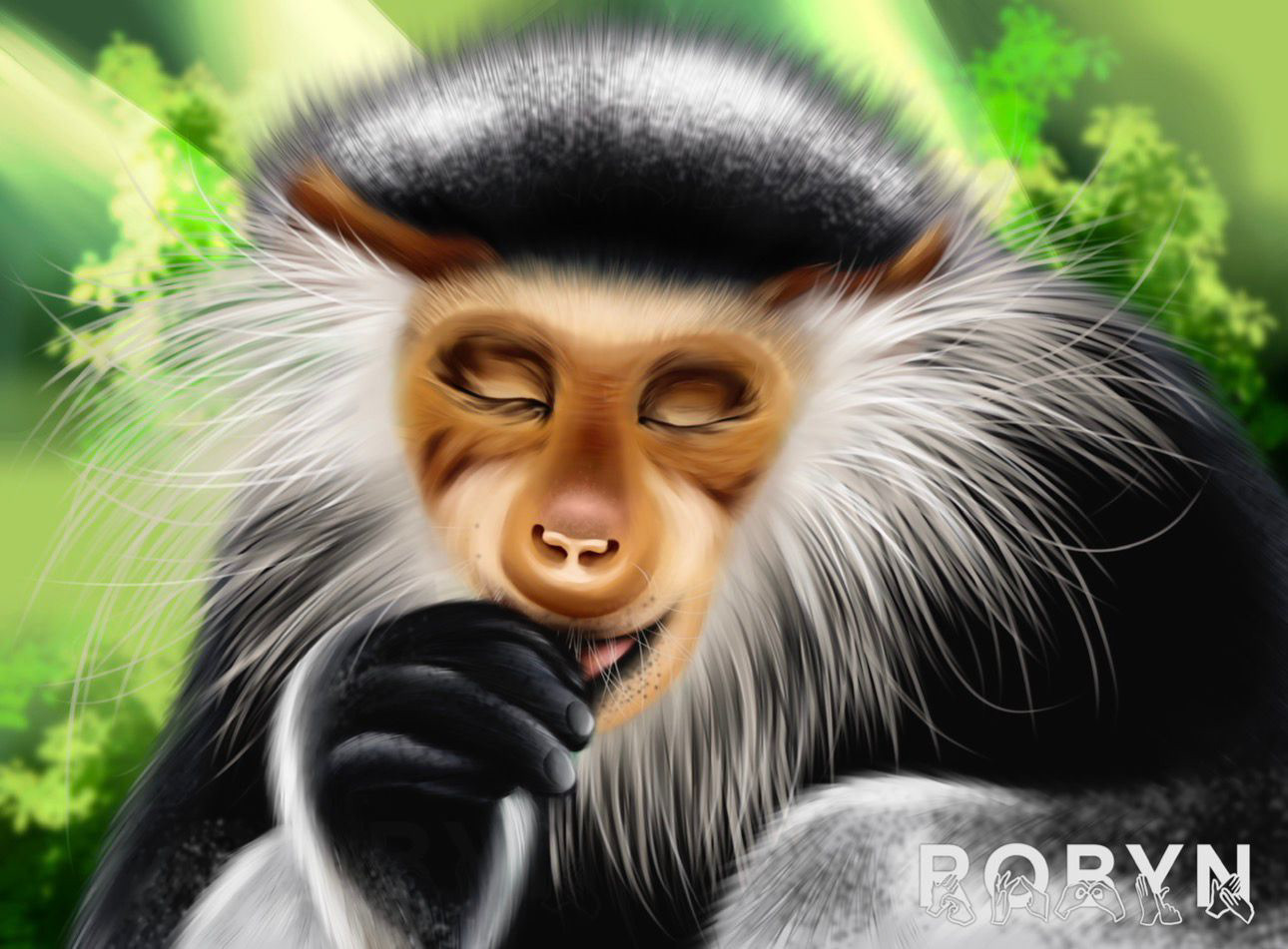 R ~ Red-Shanked Docu