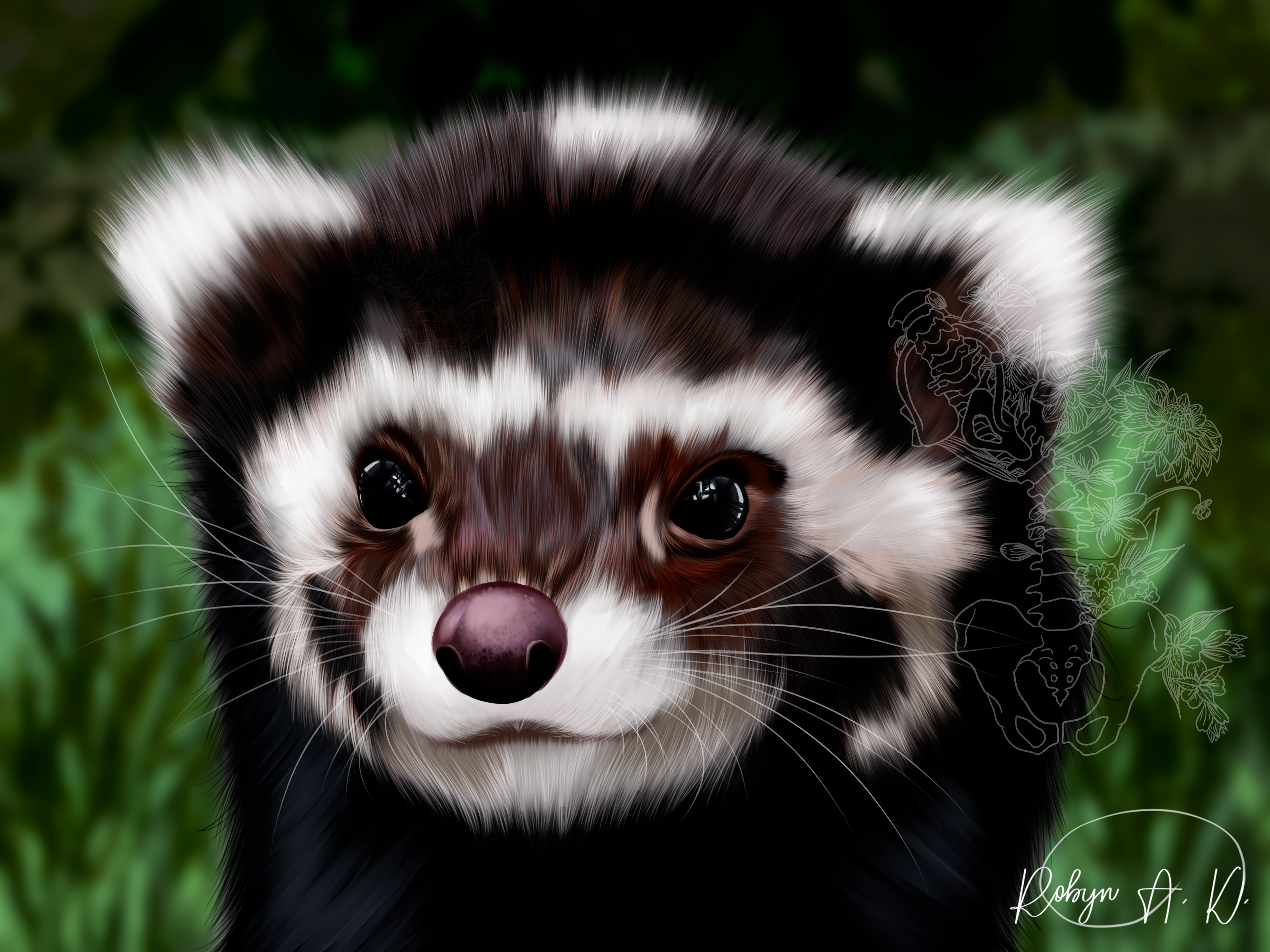 M ~ Marbled Polecat