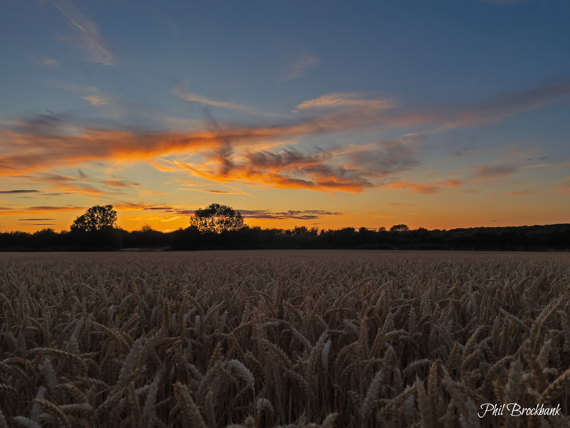 English summer countryside
