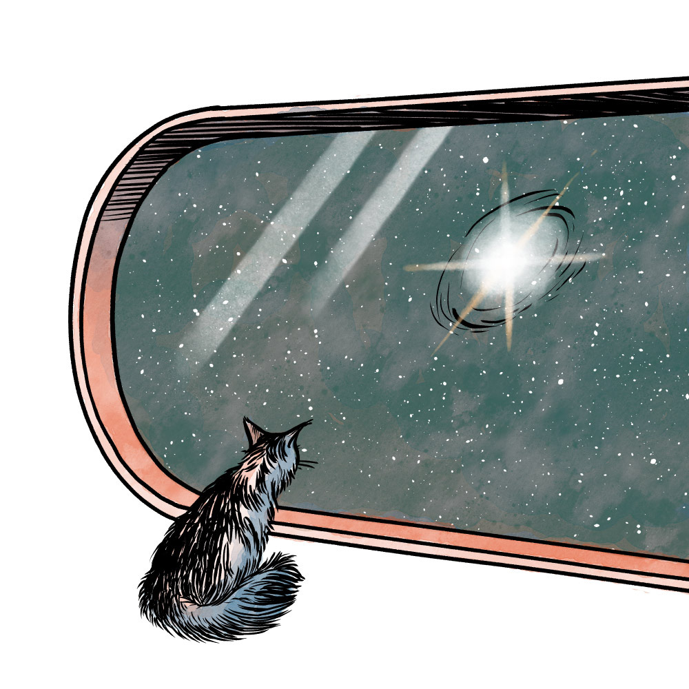 "There's catnip in that nebula"