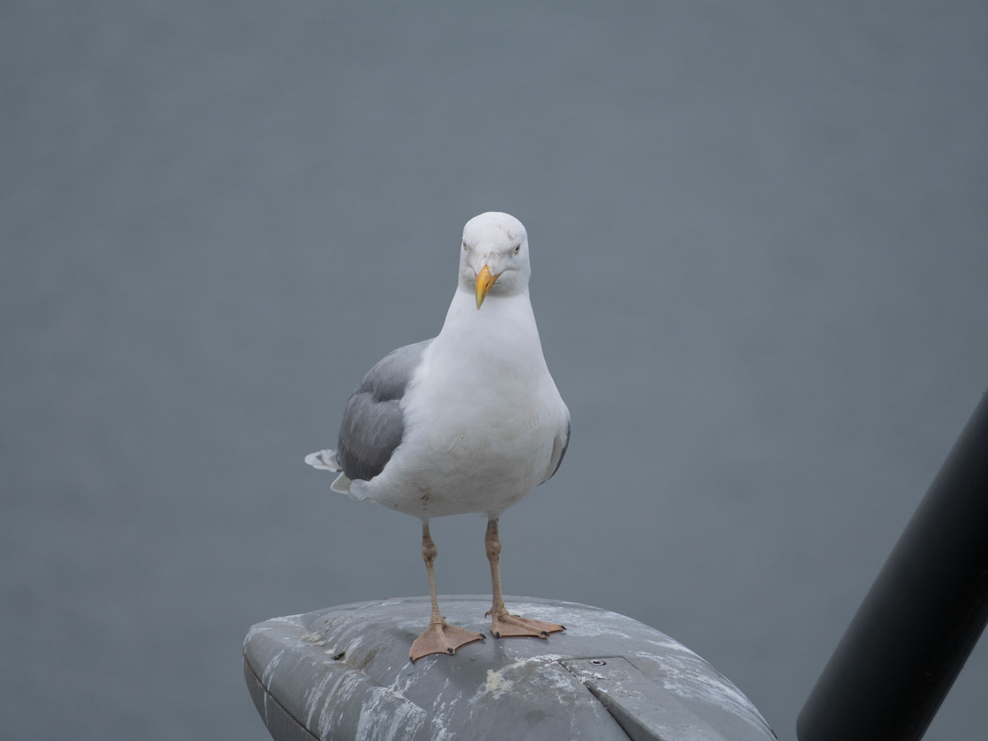 An der Ostsee