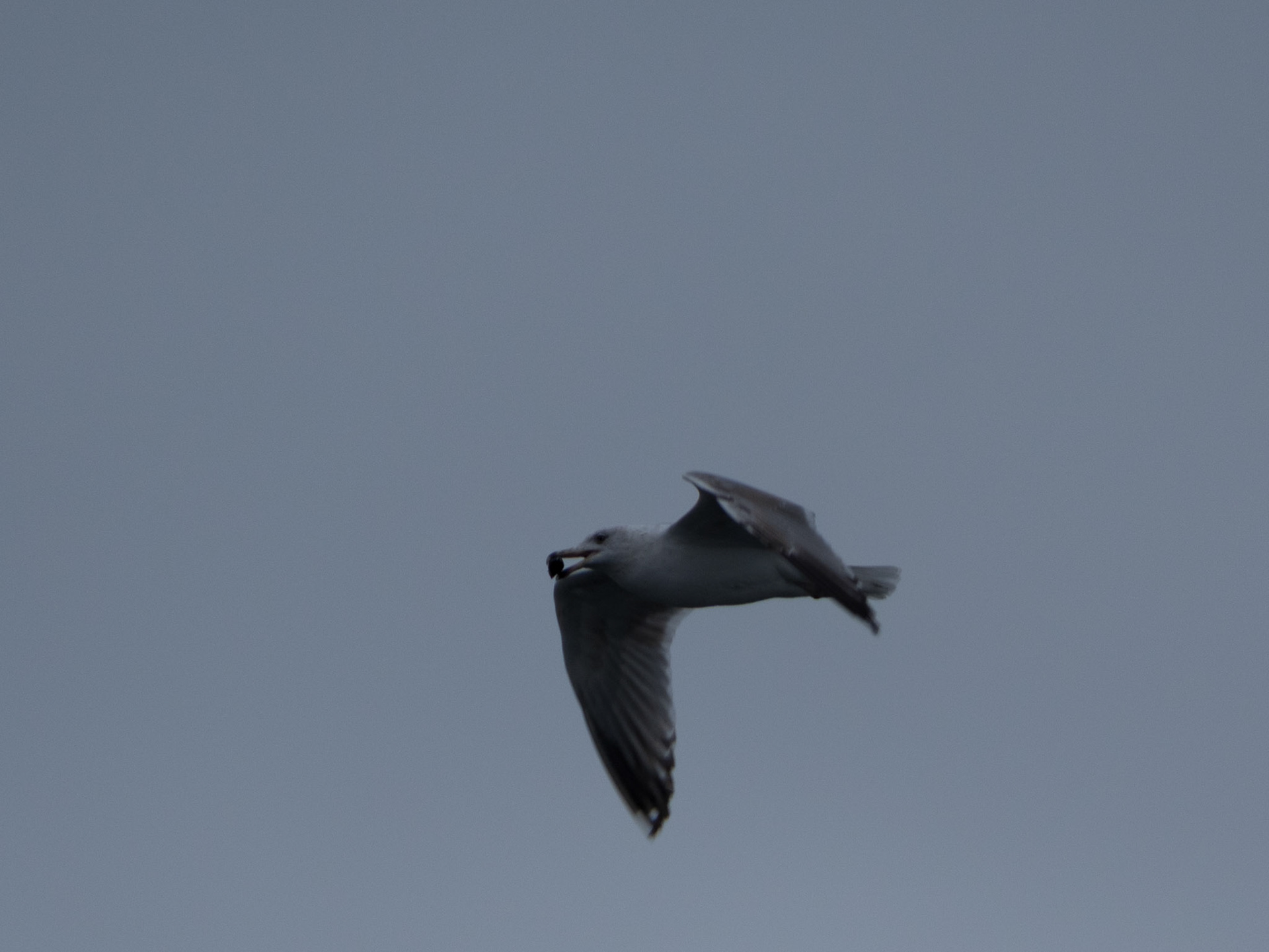 An der Ostsee