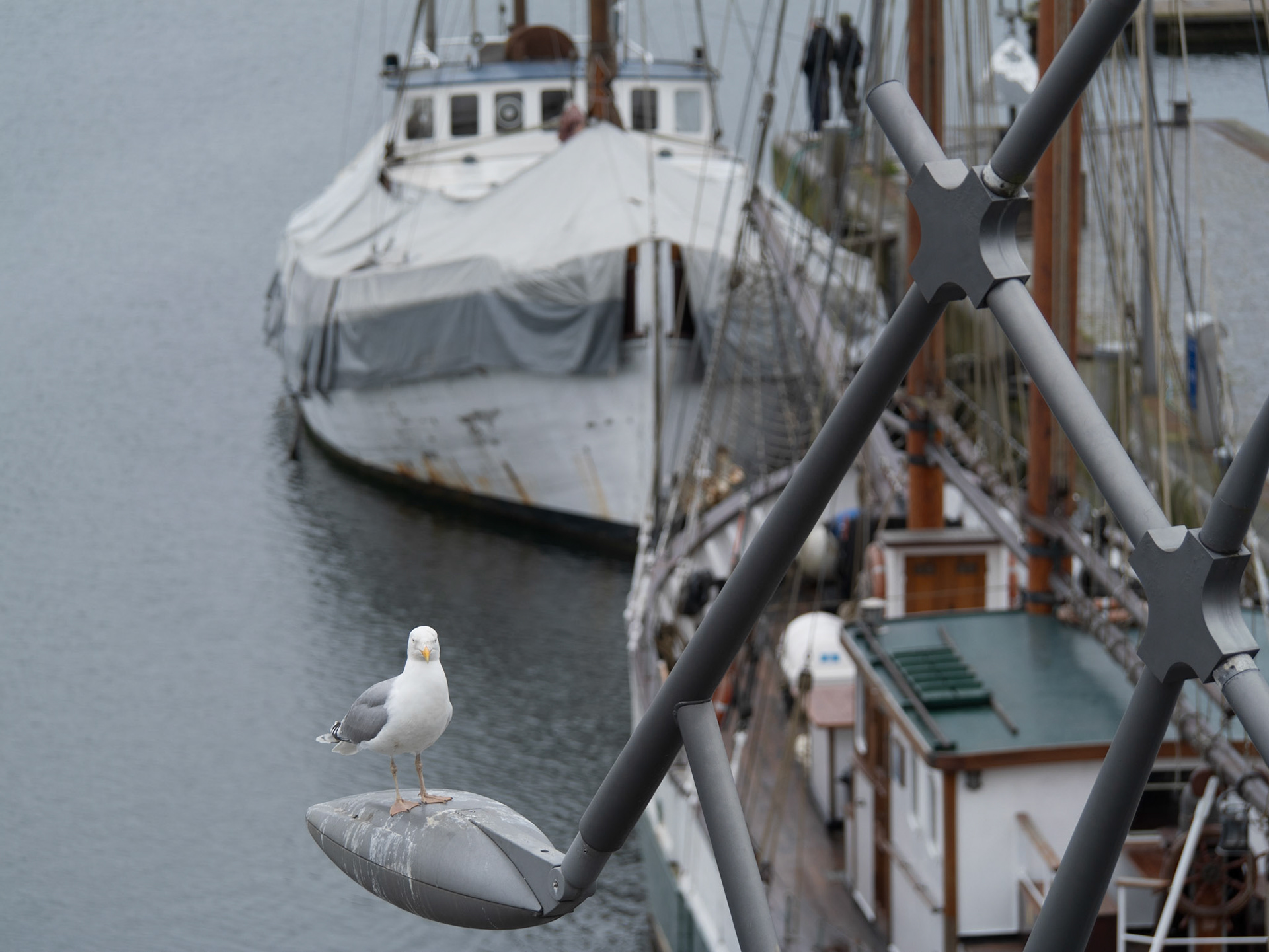 An der Ostsee