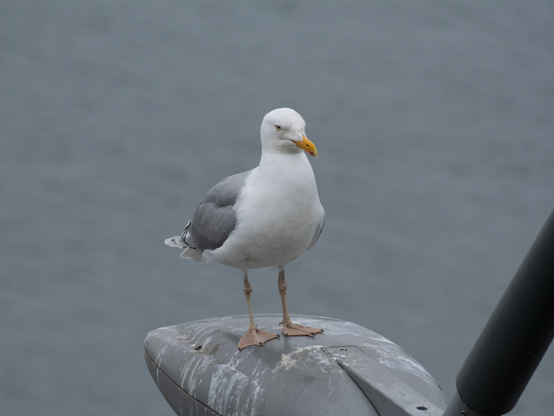 An der Ostsee
