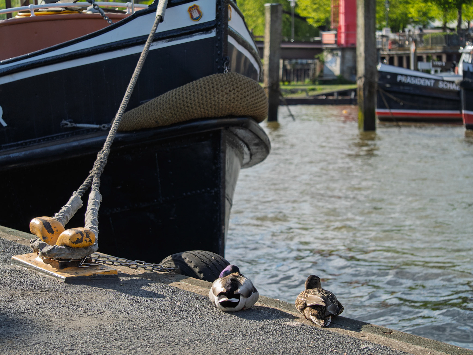 Fotowalk Hamburg