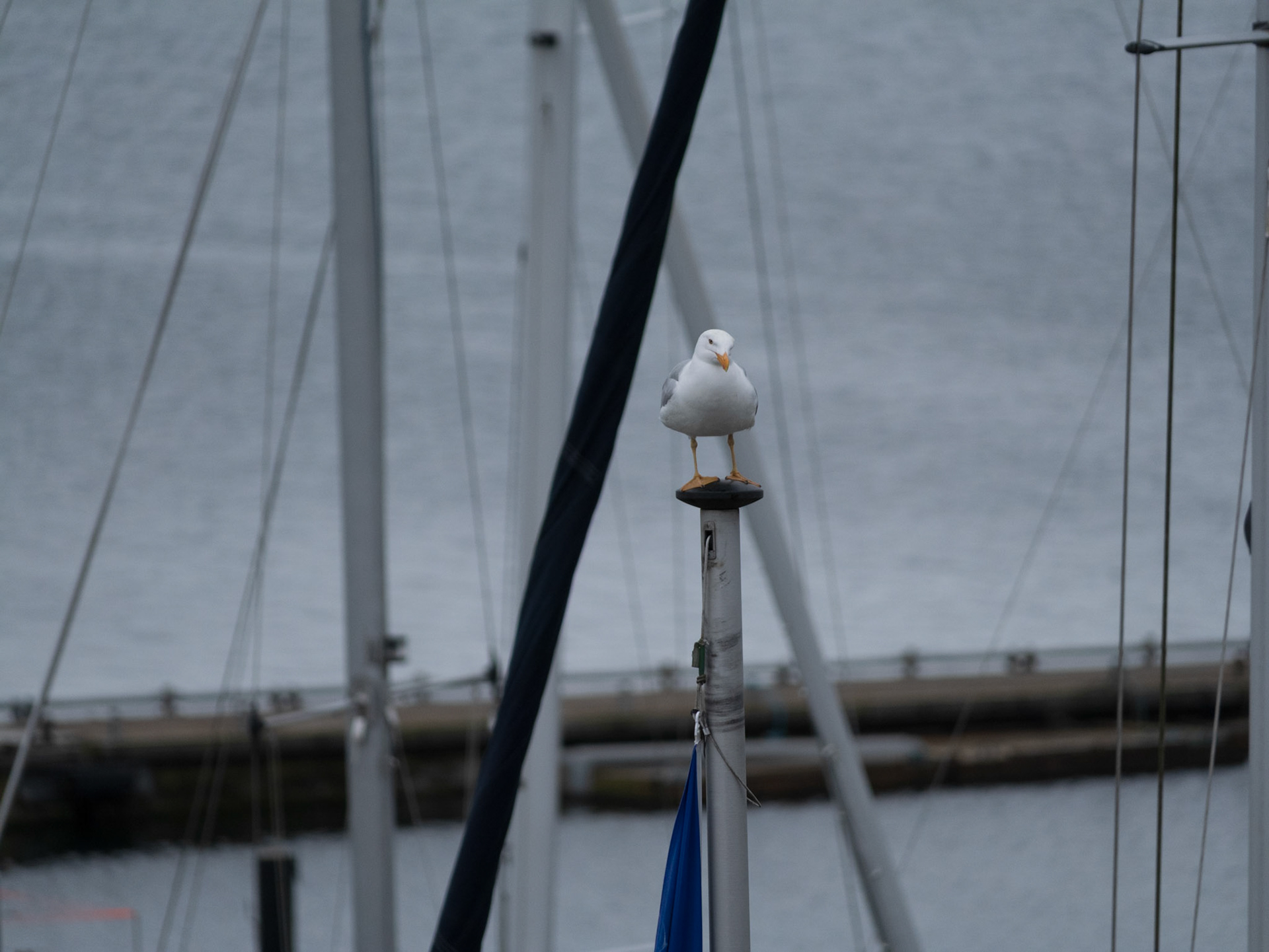 An der Ostsee