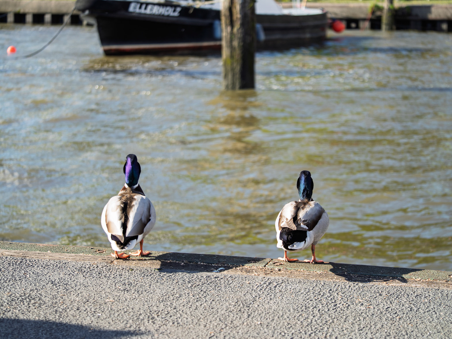 Fotowalk Hamburg