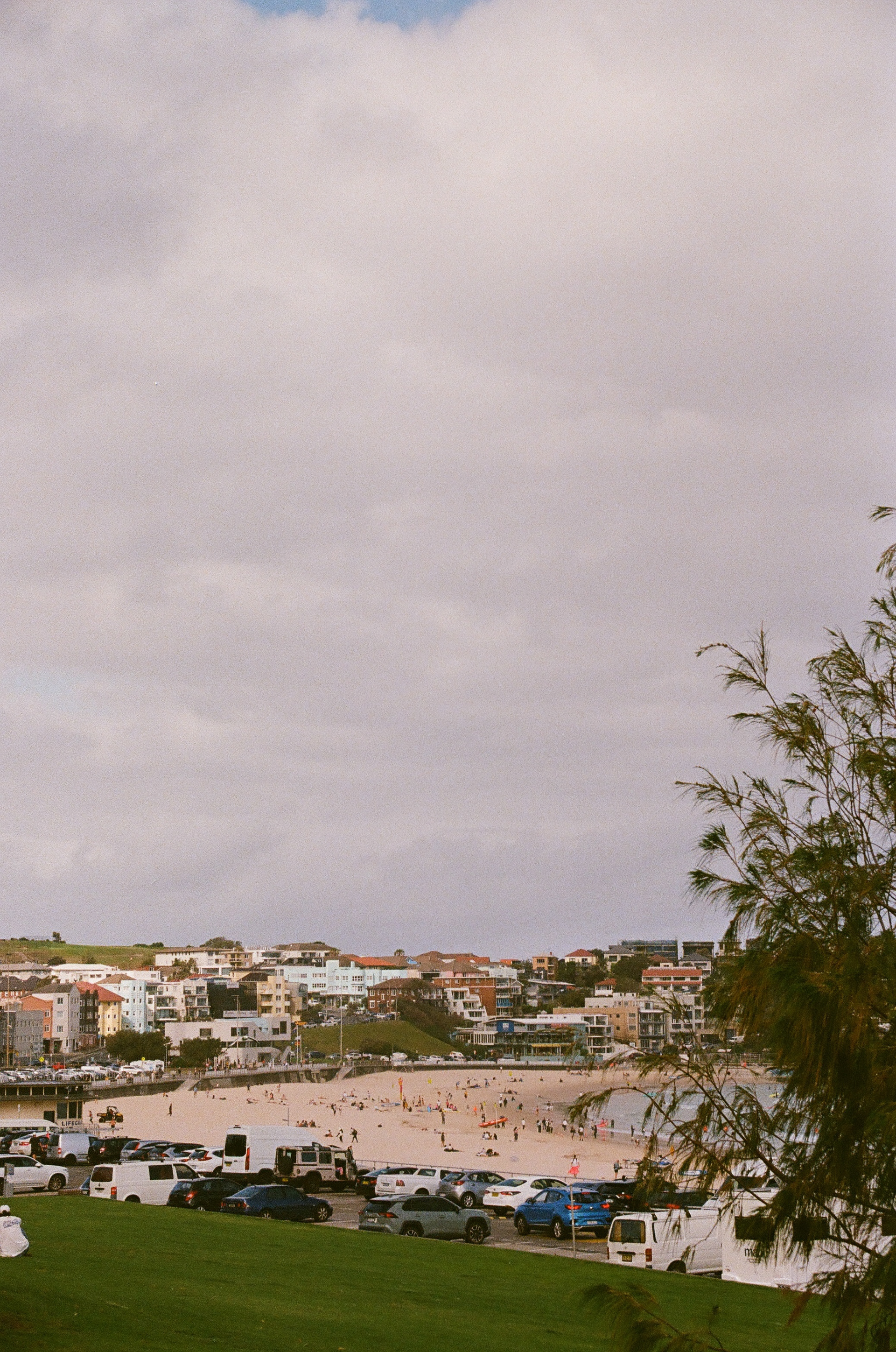 Bondi Beach. November 2024 (35mm film)