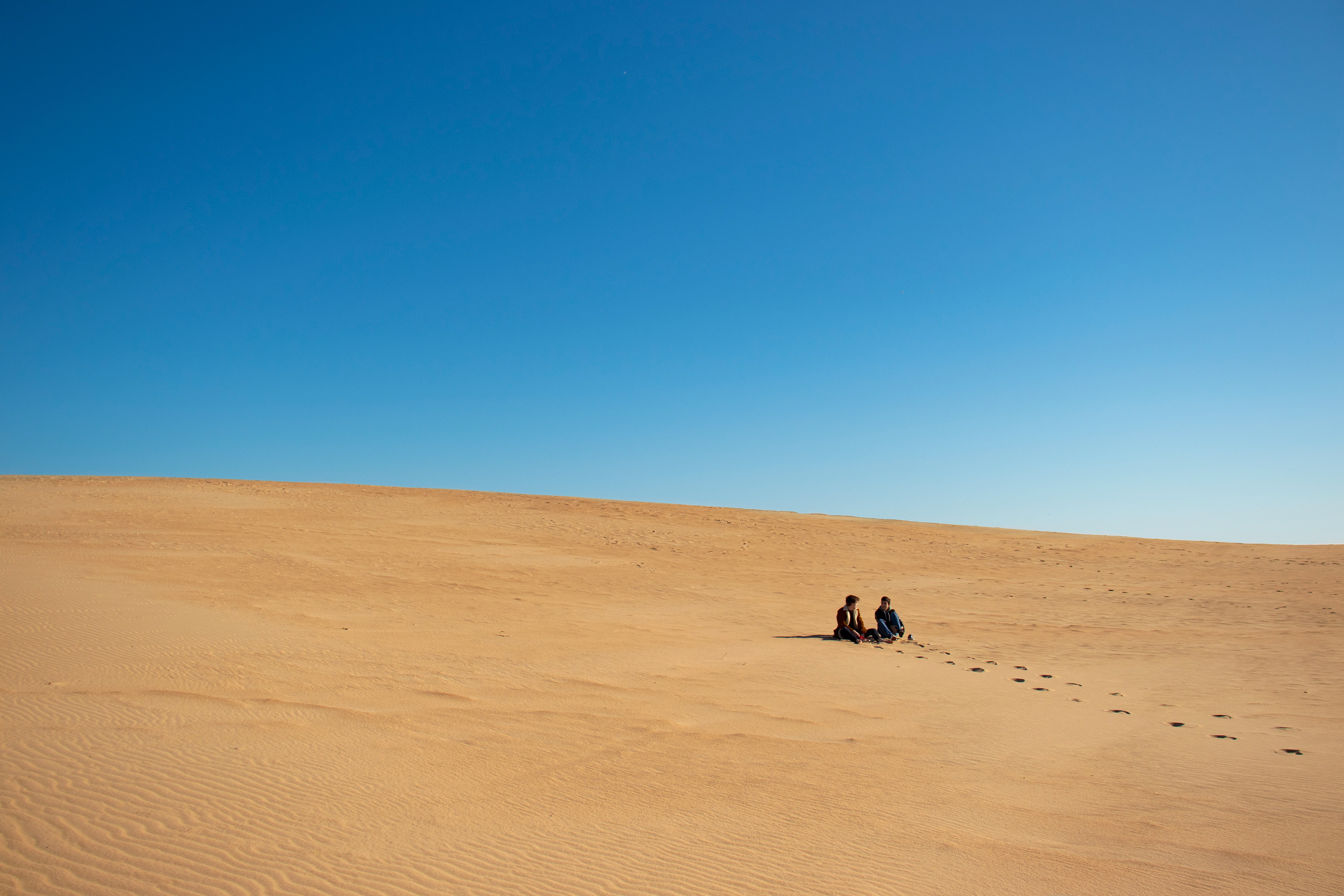 Dunes. March 2020. (iPhone)