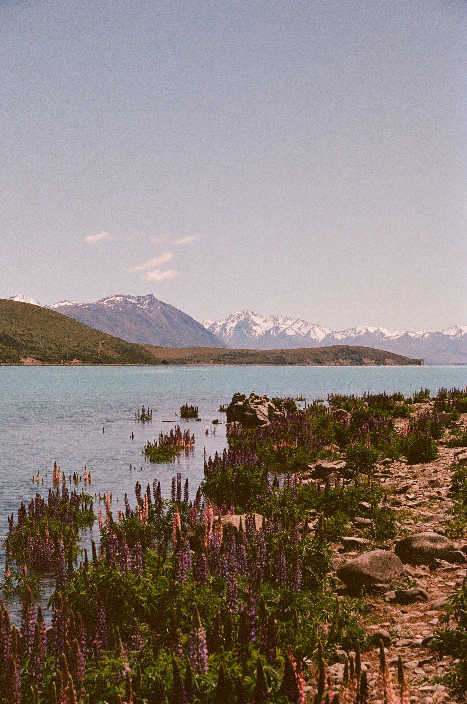 Lake Tekapo. November 2024 (35mm film)