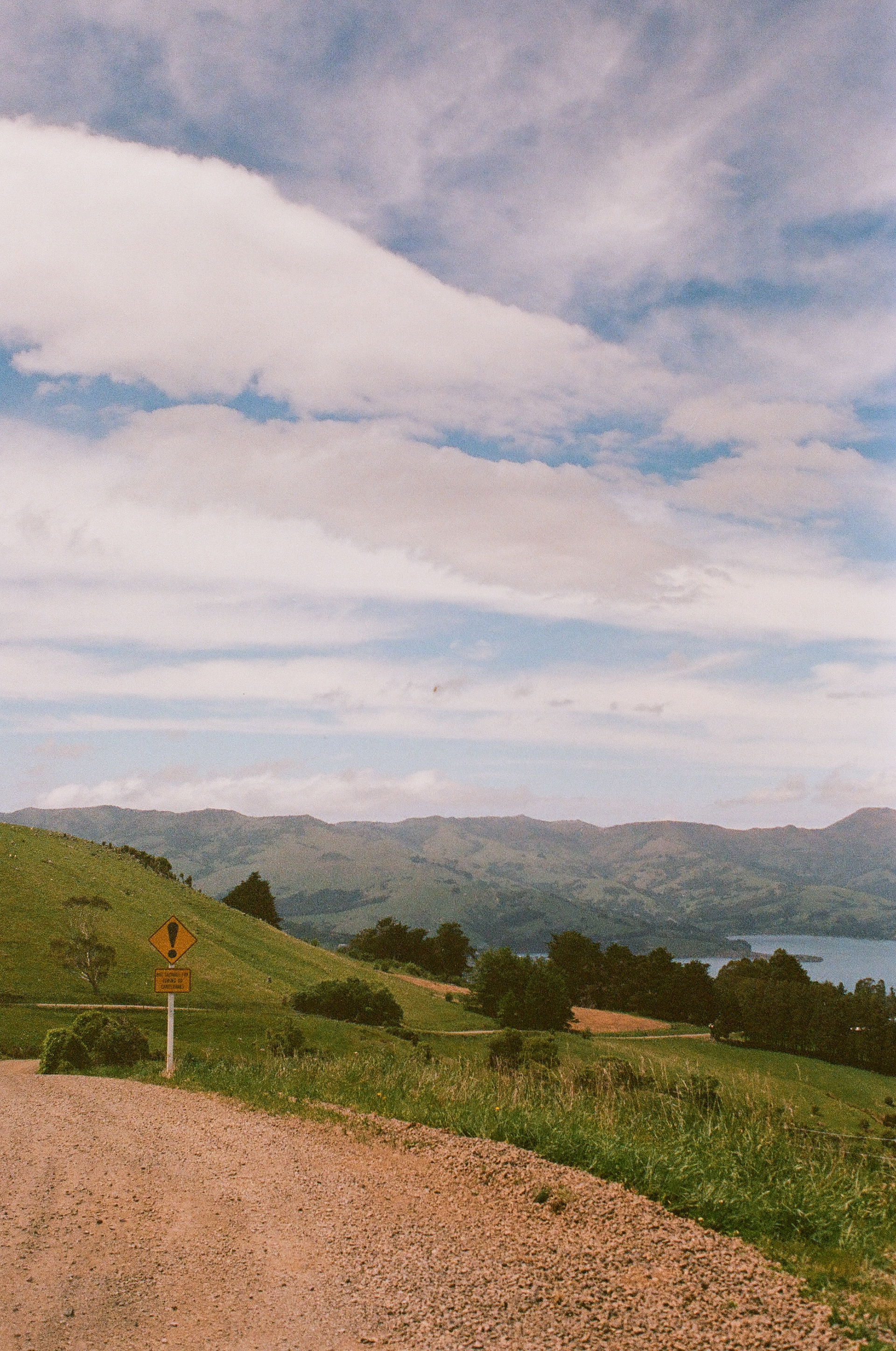 !  November 2024 (35mm film)