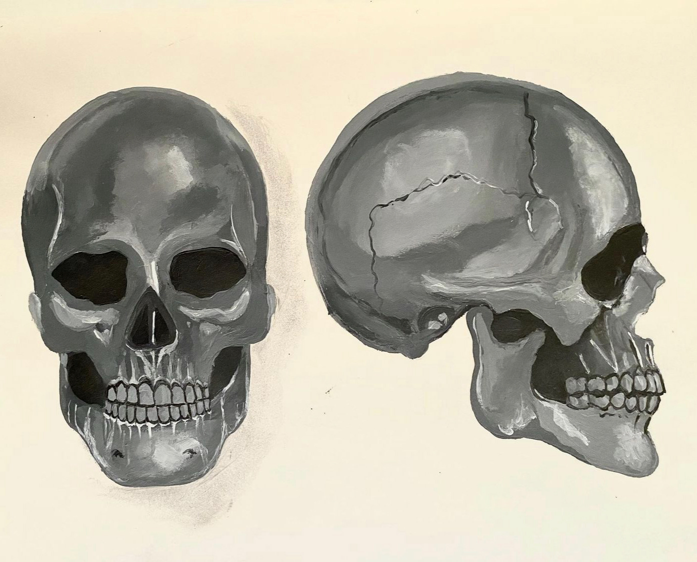 Skull Study. Acrylic on paper. (October 2019)