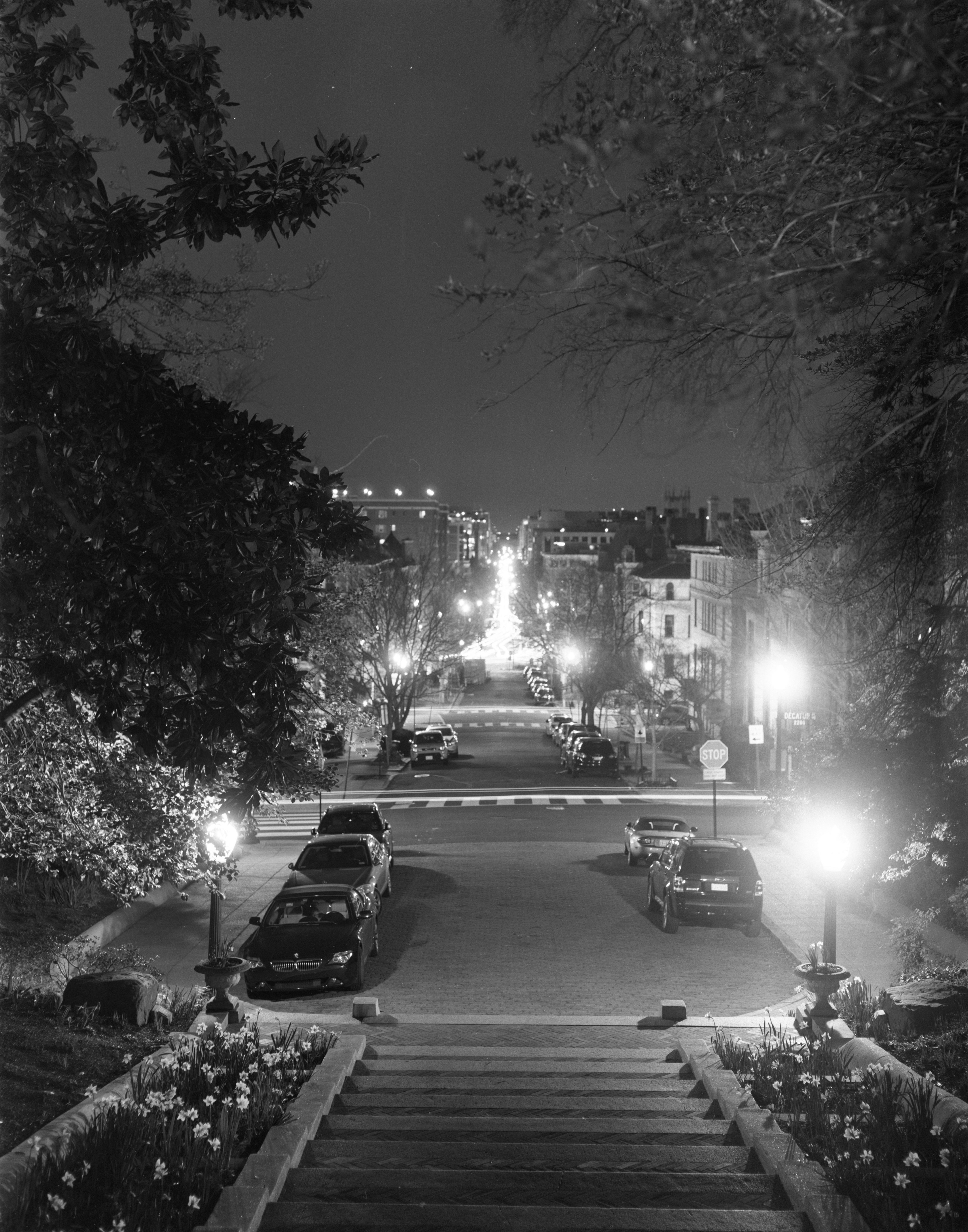 Spanish Steps. March 2022. (Large Format Film)