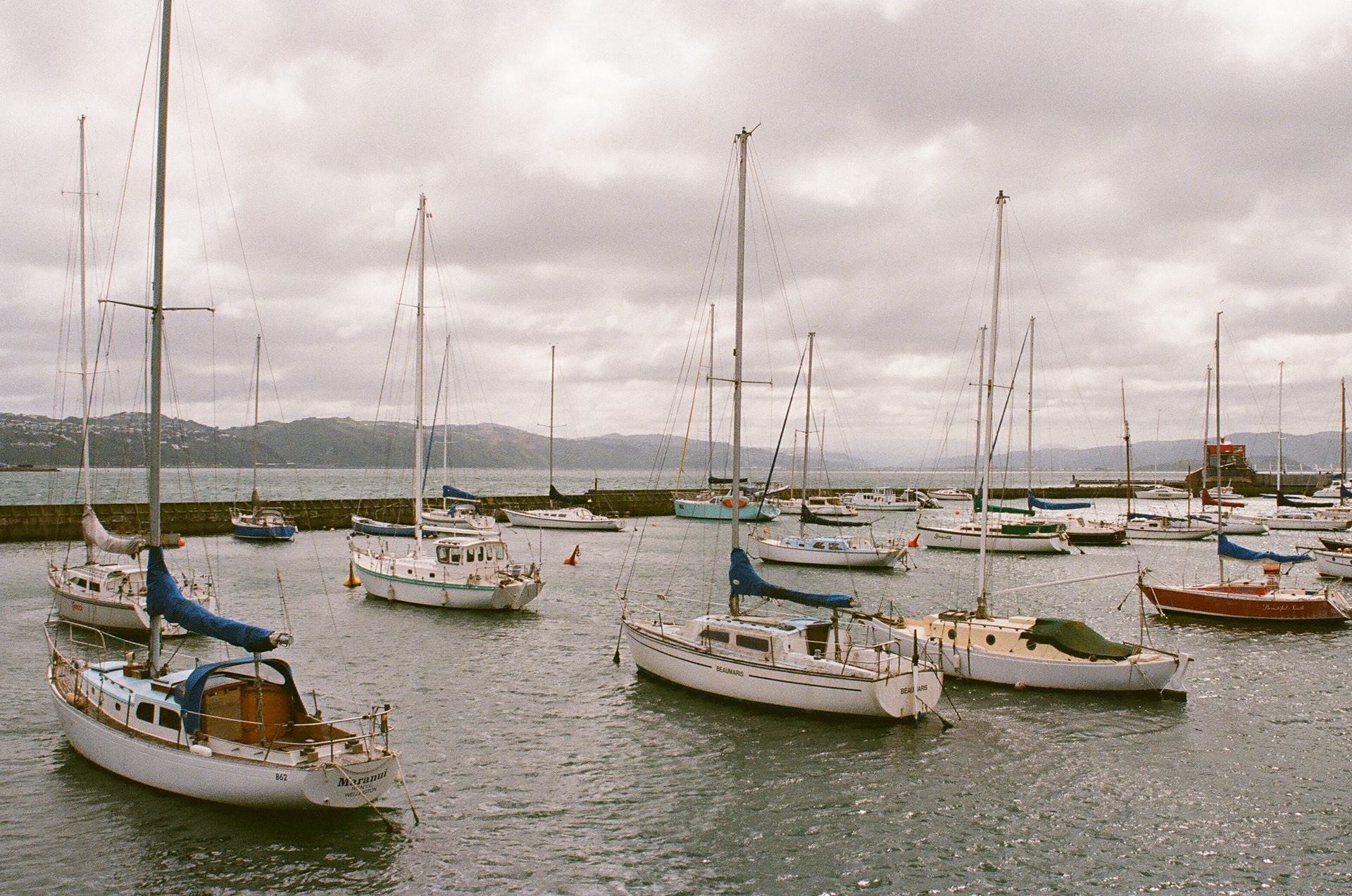 Sailing NZ. November 2024 (35mm film)