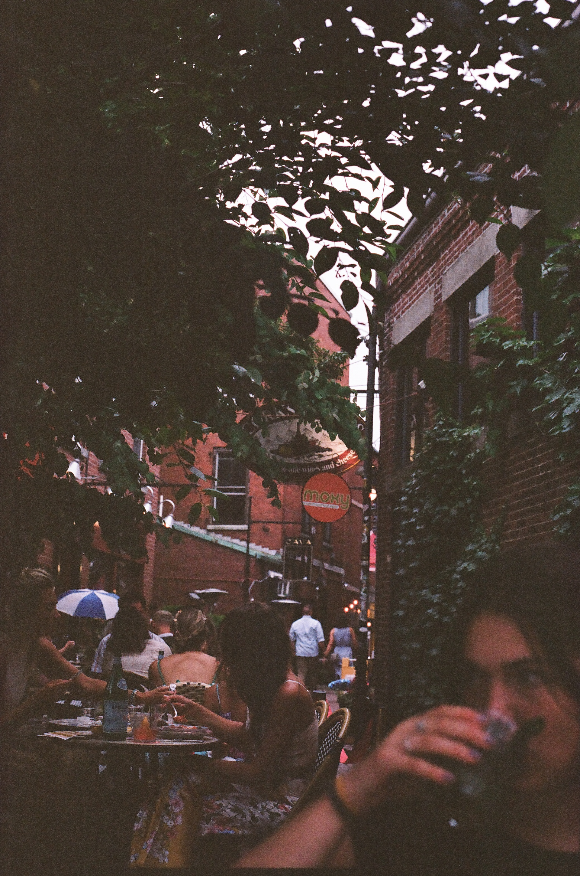 Cin Cin. July 2024 (35mm film)