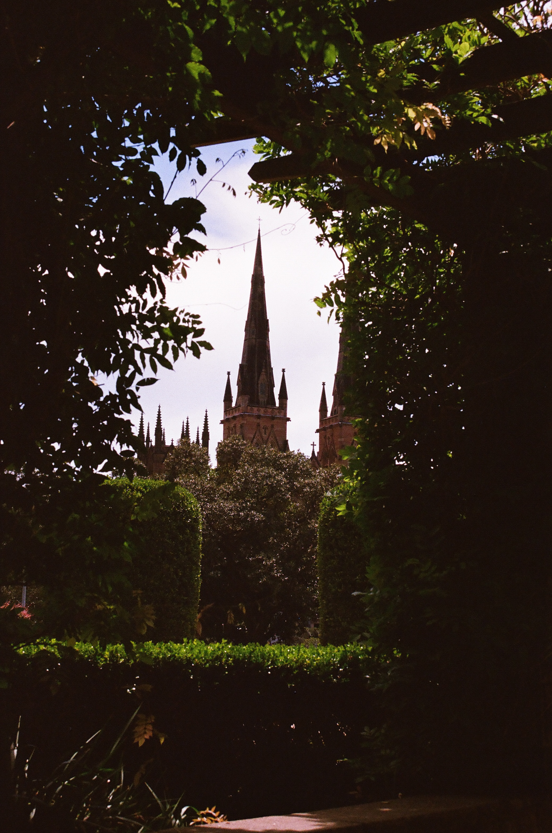 Window. November 2024 (35mm film)