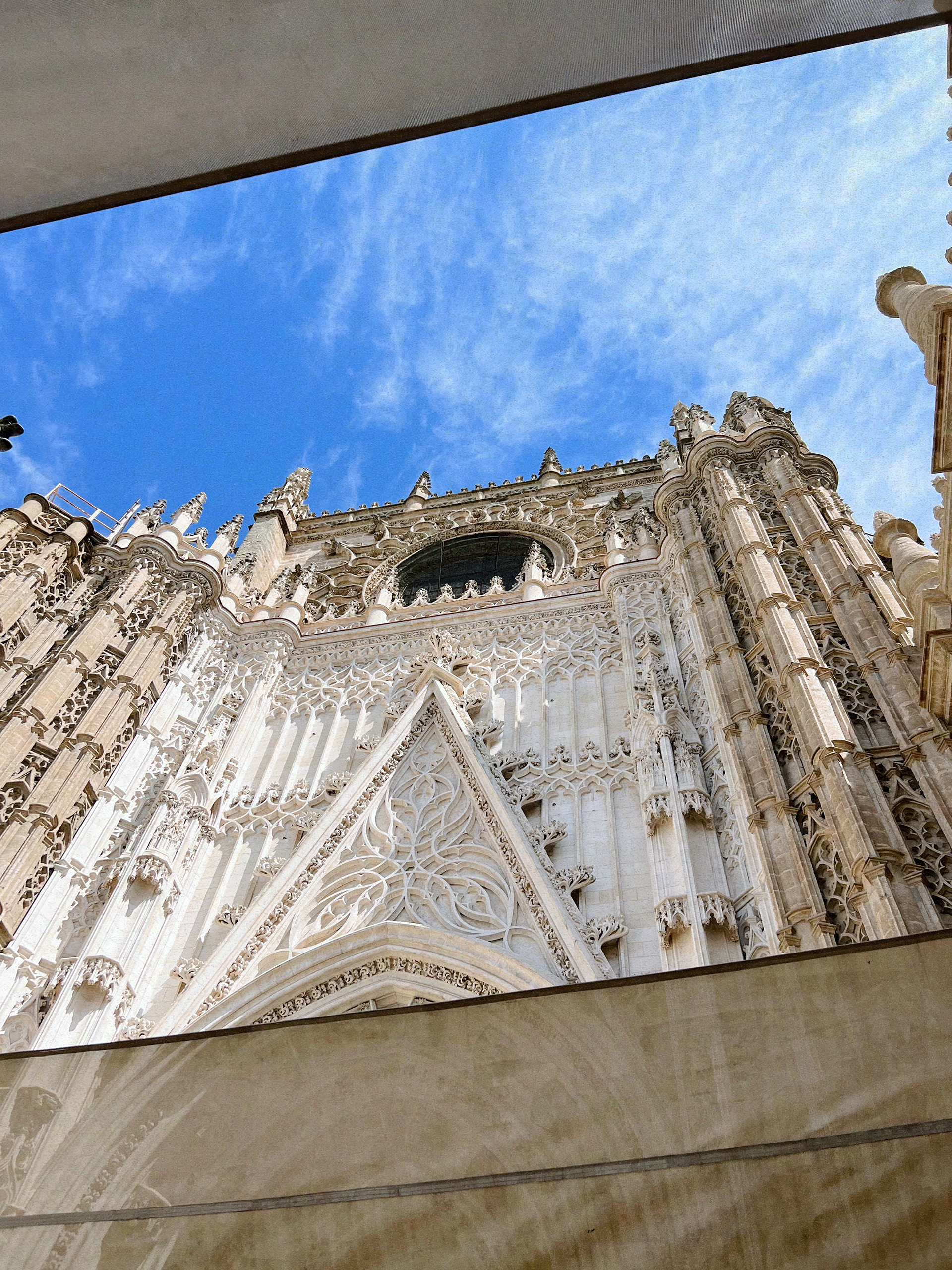 Reaching the sky. May 2023 (iPhone)