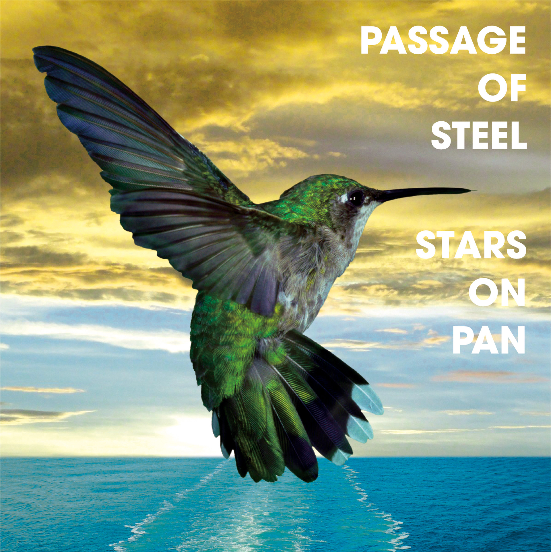STARS ON PAN / PASSAGE OF STEEL