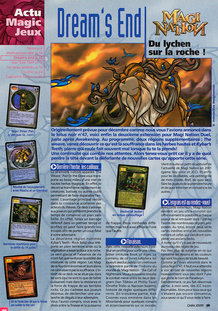 Lotus Noir Magazine • Article Sample 3
