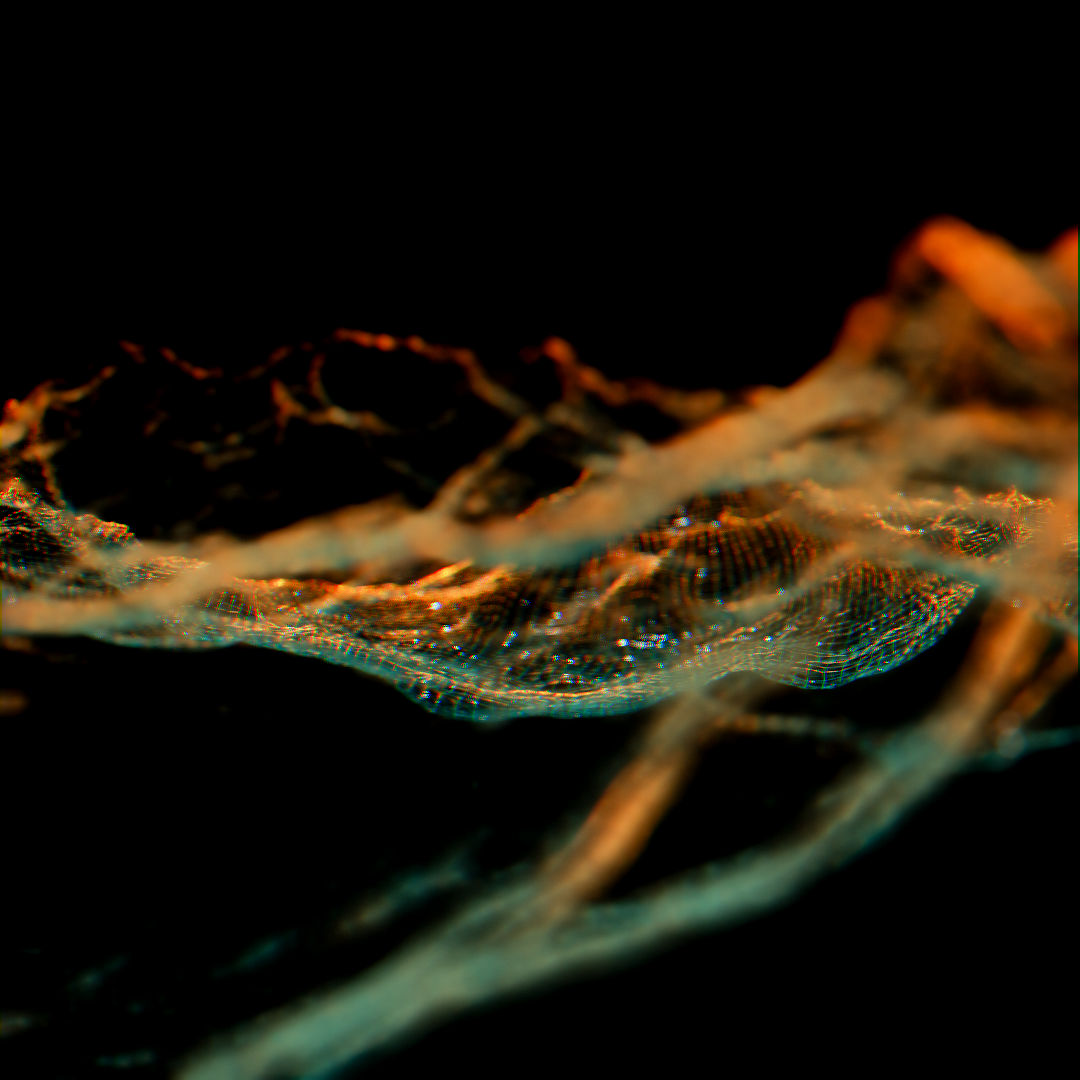 Intangible Wave 01
