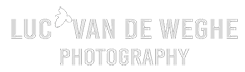 Luc Van De Weghe