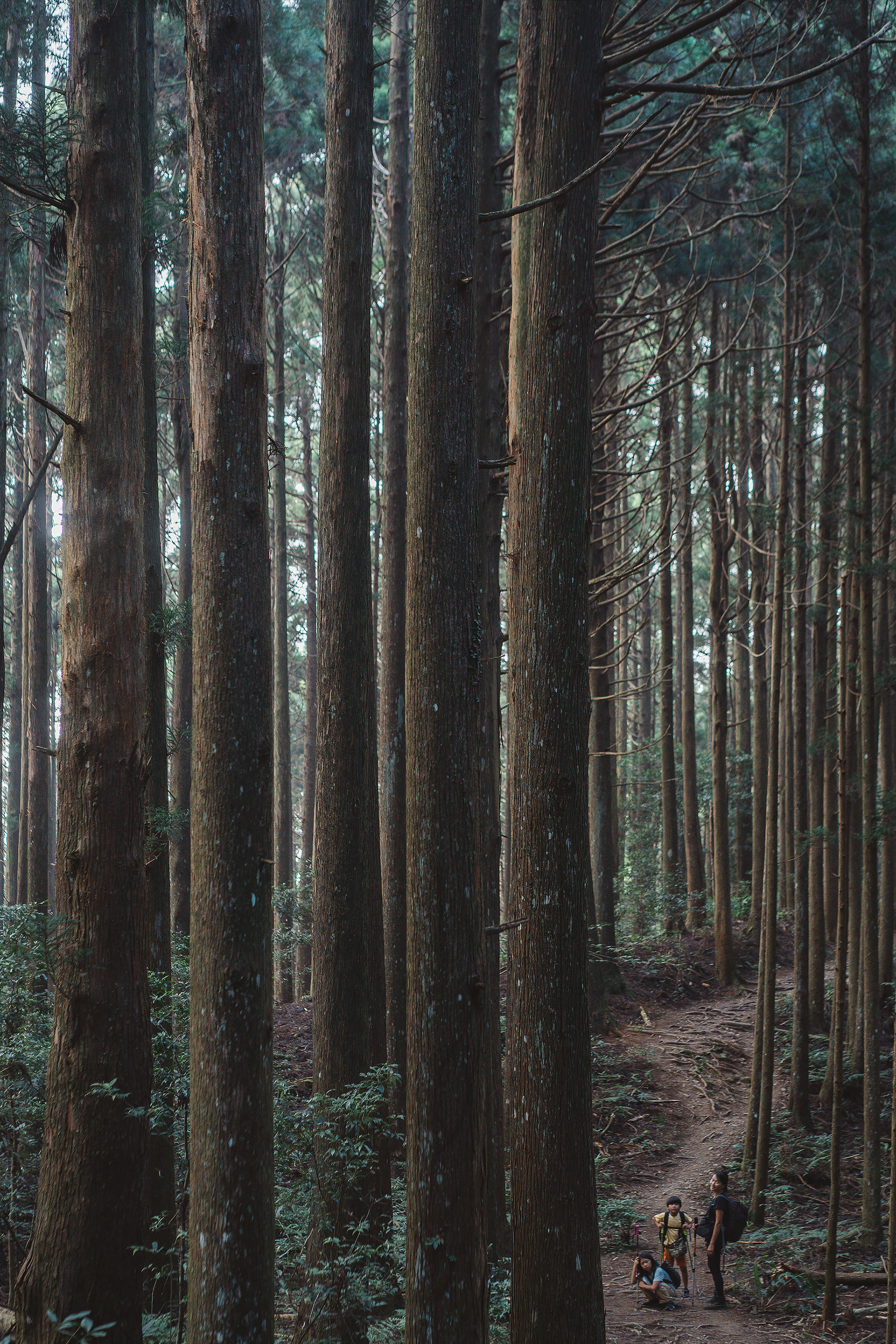 高島縱走|親子登山|家庭生活紀錄|Mountain