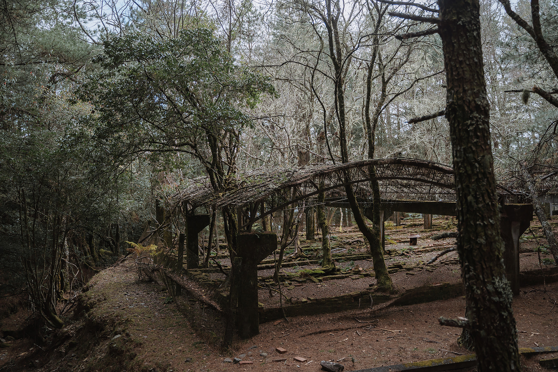 雙龍林道 探訪 巒安堂|DAY. 2|親子登山|家庭生活紀錄|Mountain Climbing雙龍林道 探訪 巒安堂|DAY. 2|親子登山|家庭生活紀錄|Mountain Climbing