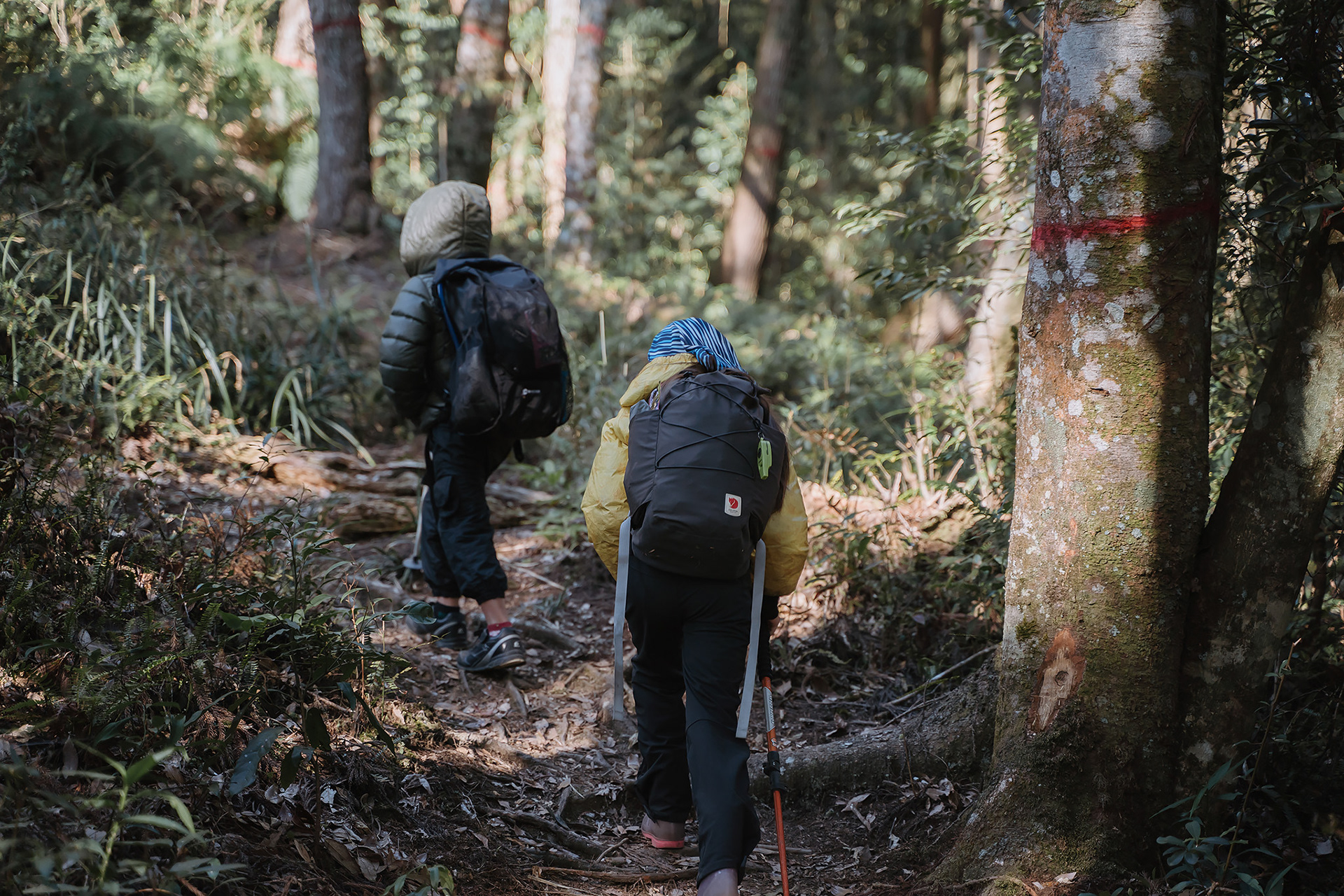 雙龍林道探訪巒安堂|DAY. 1|親子登山|家庭生活紀錄|Mountain Climbing