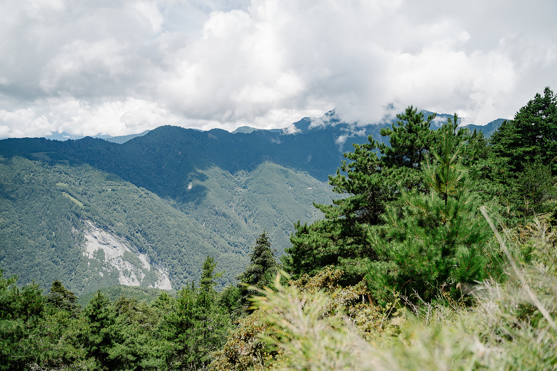屏風山|Part.2|親子登山|家庭生活紀錄|Mou屏風山|Part.2|親子登山|家庭生活紀錄|Mountain Climbingntain Climbing