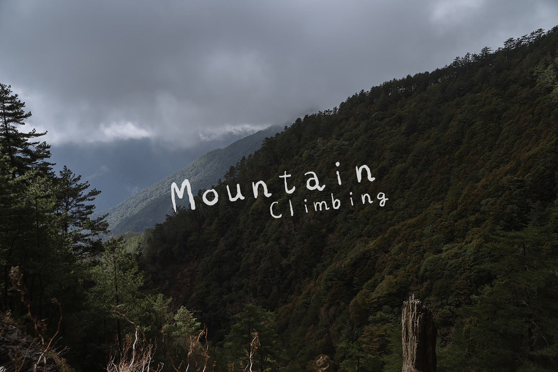 雙龍林道 探訪 巒安堂|DAY. 2|親子登山|家庭生活紀錄|Mountain Climbing