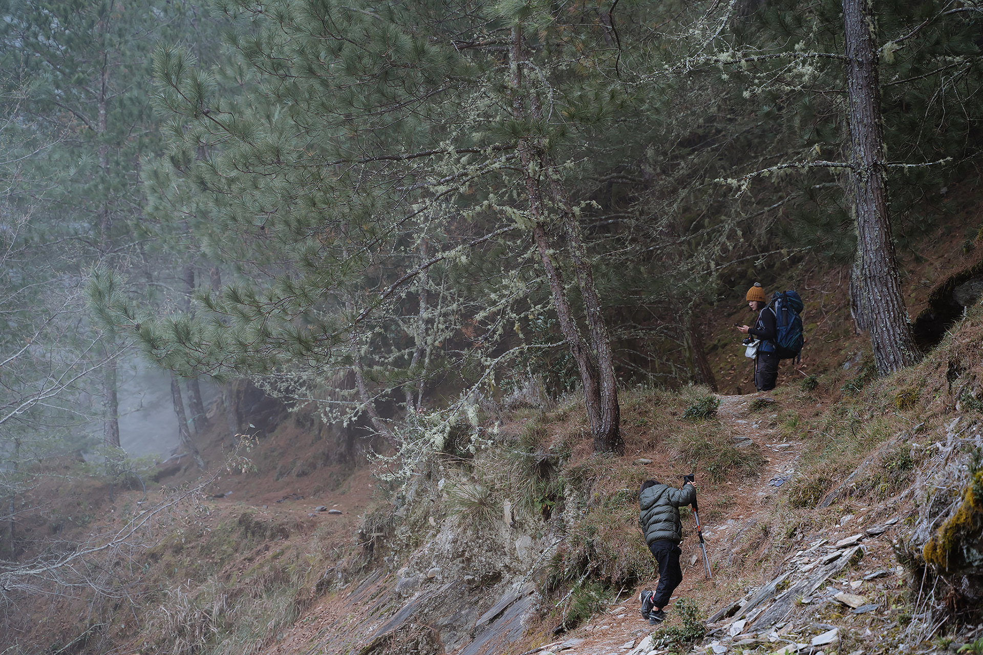 雙龍林道 探訪 巒安堂|DAY. 2|親子登山|家庭生活紀錄|Mountain Climbing