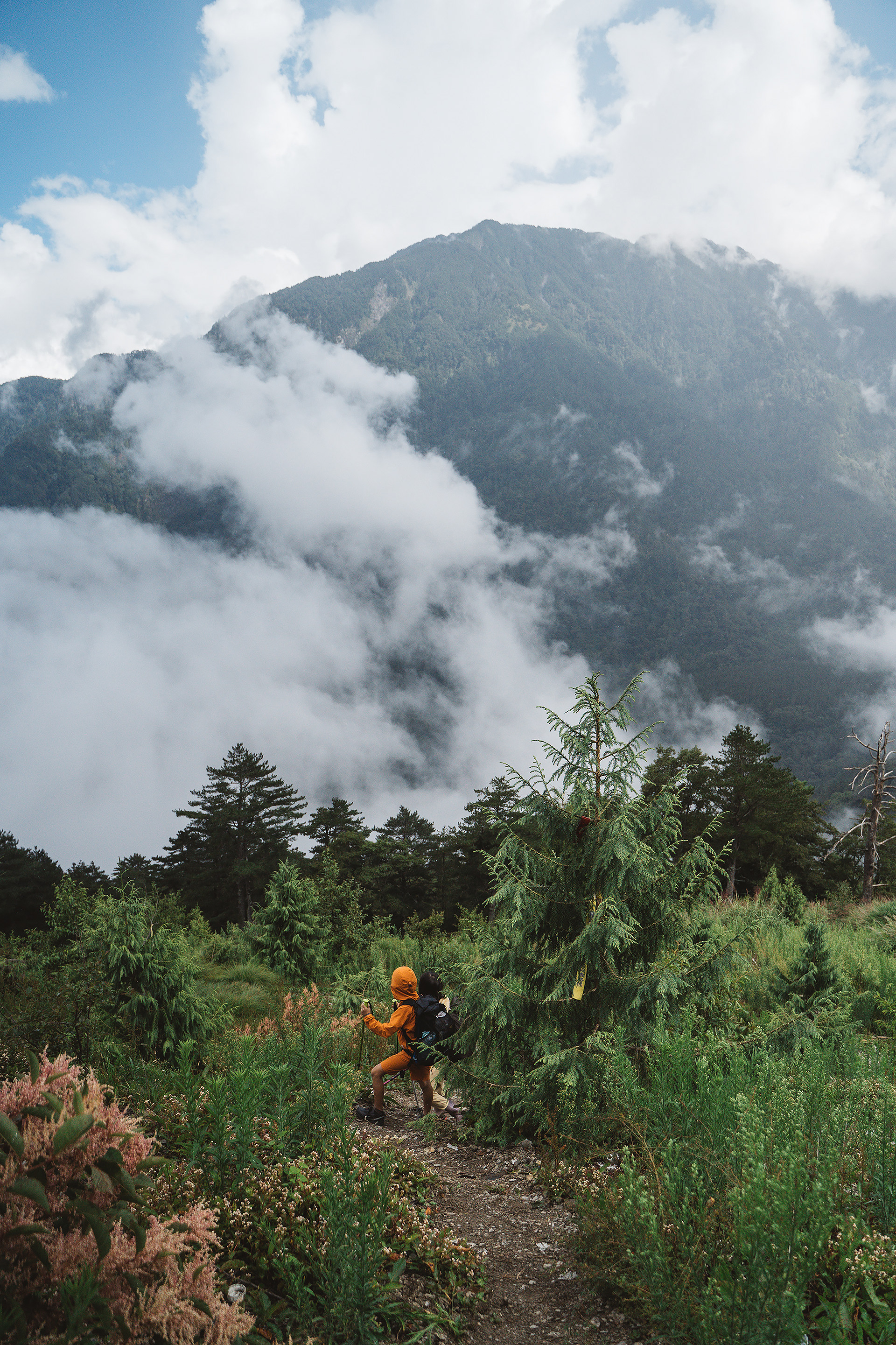 屏風山|Part.1|親子登山|家庭生活紀錄|Mountain Climbing
