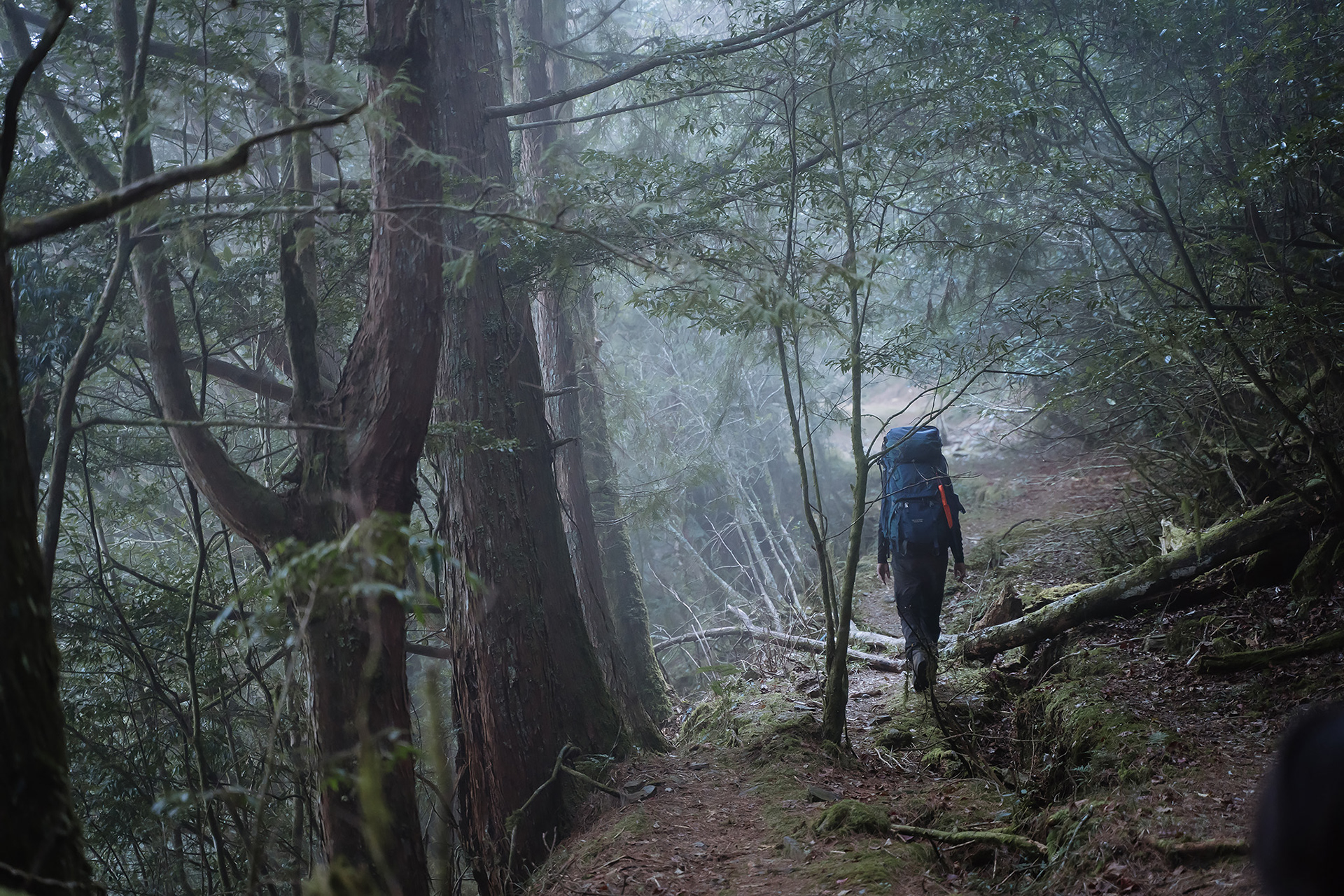 雙龍林道 探訪 巒安堂|DAY. 2|親子登山|家庭生活紀錄|Mountain Climbing