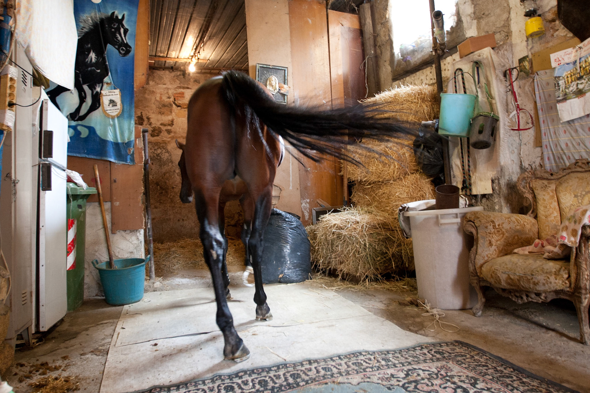 Reportage "Franco Franchi"  - Palermo 2009