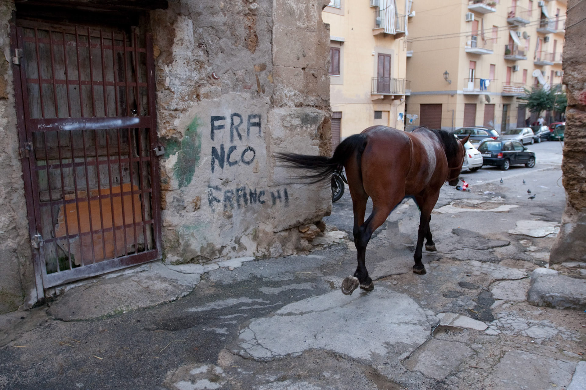 Reportage "Franco Franchi"  - Palermo 2009