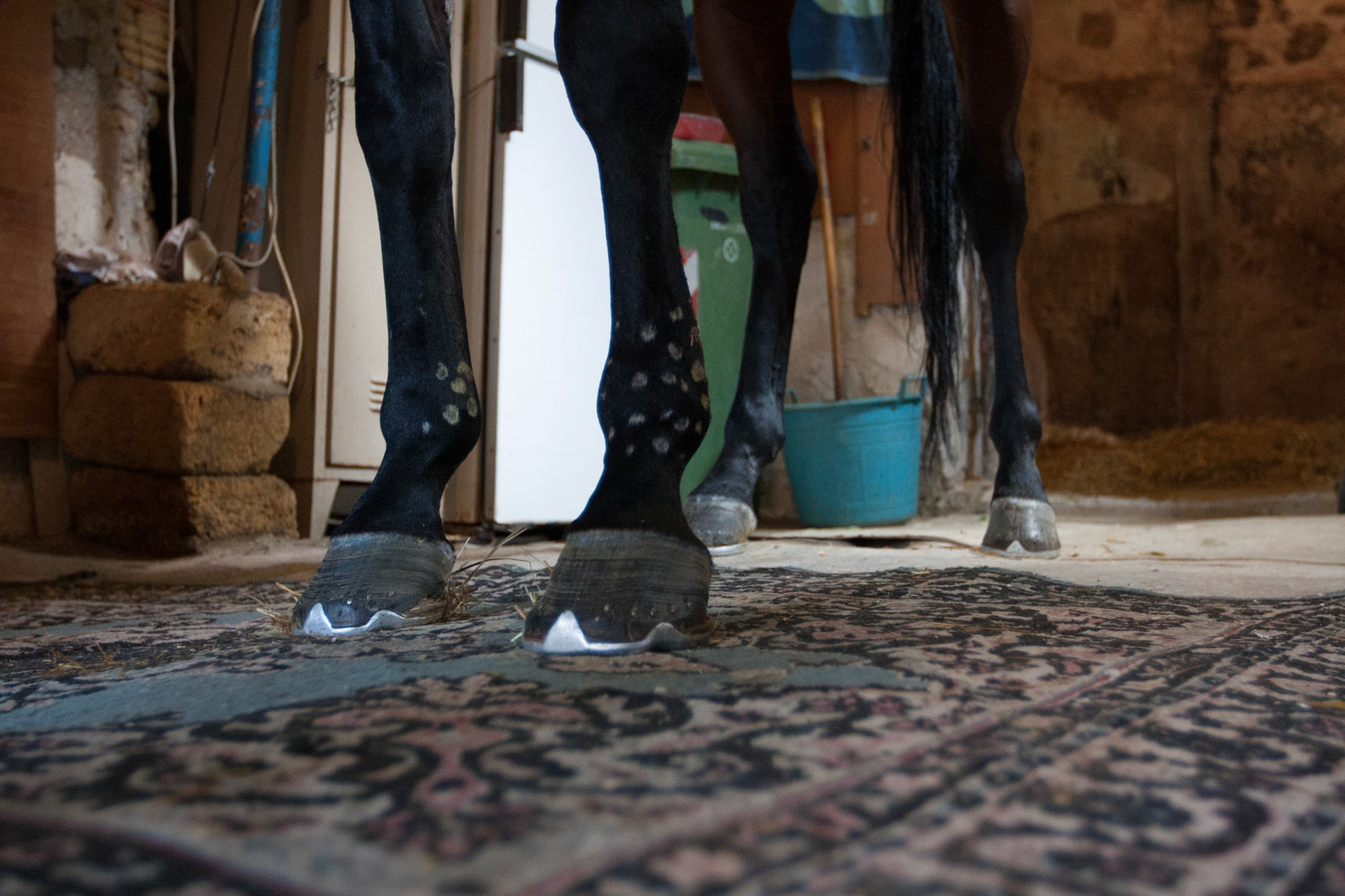 Reportage "Franco Franchi"  - Palermo 2009