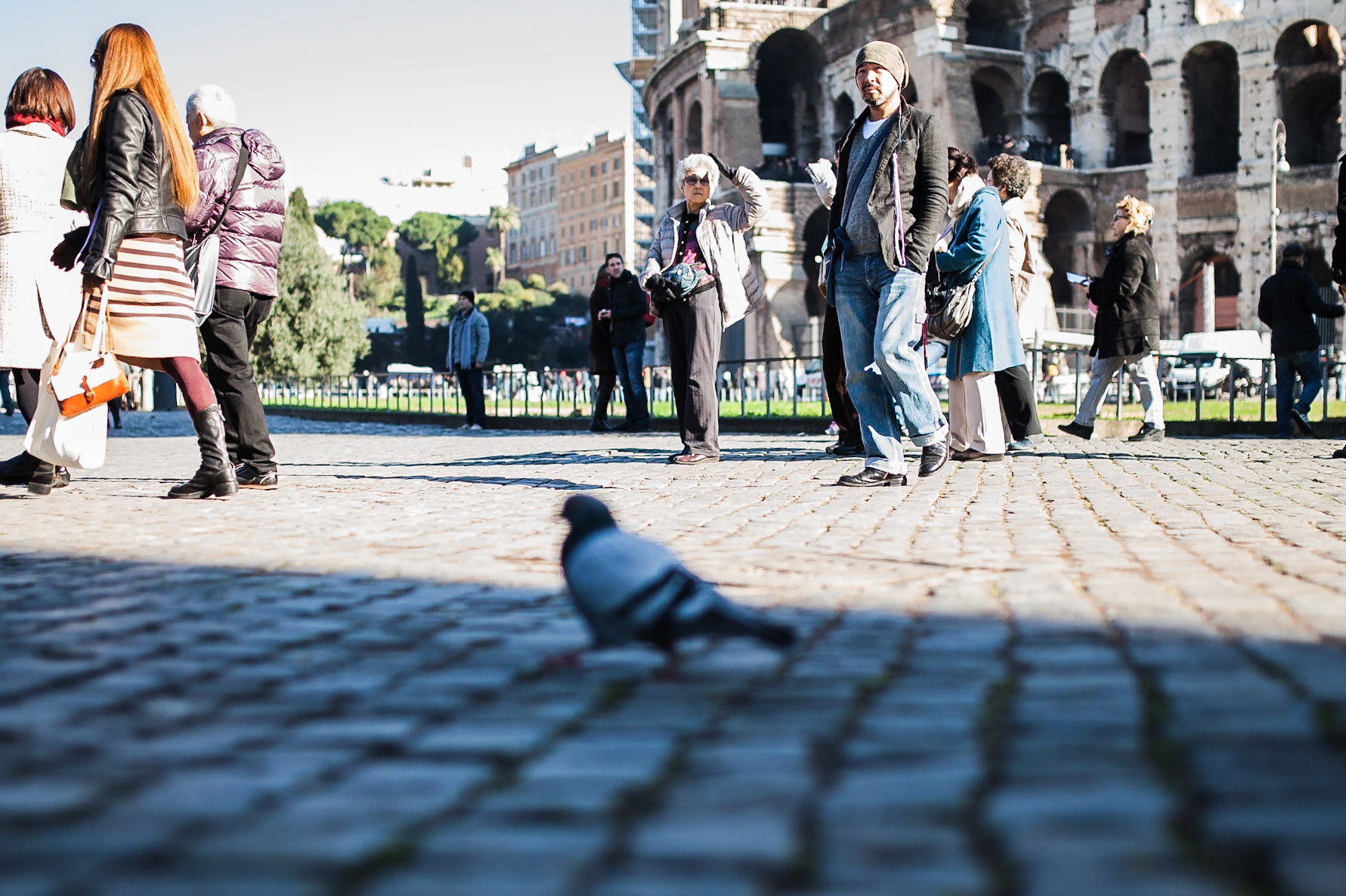 turisti e piccioni al Colosseo