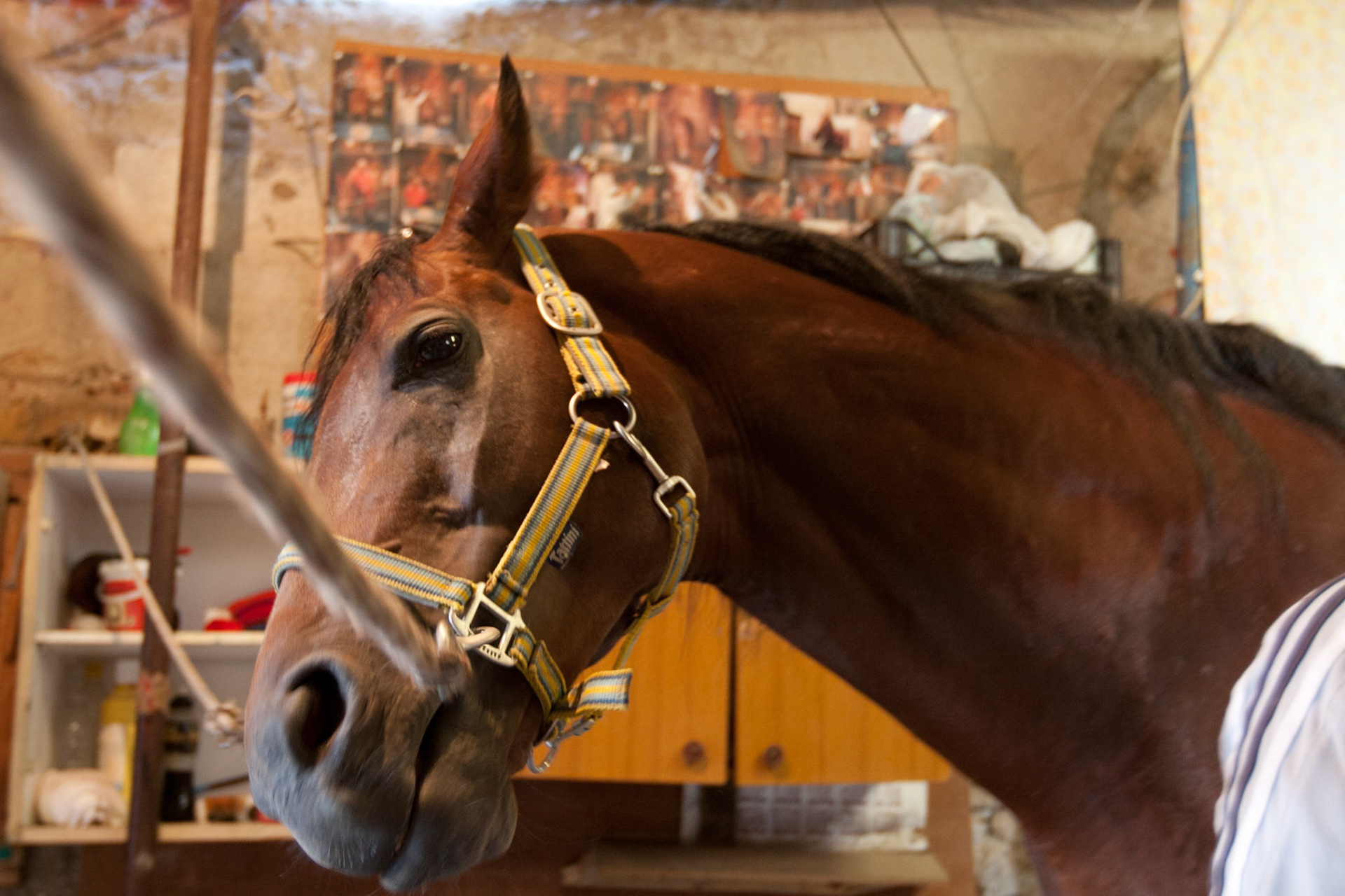 Reportage "Franco Franchi"  - Palermo 2009
