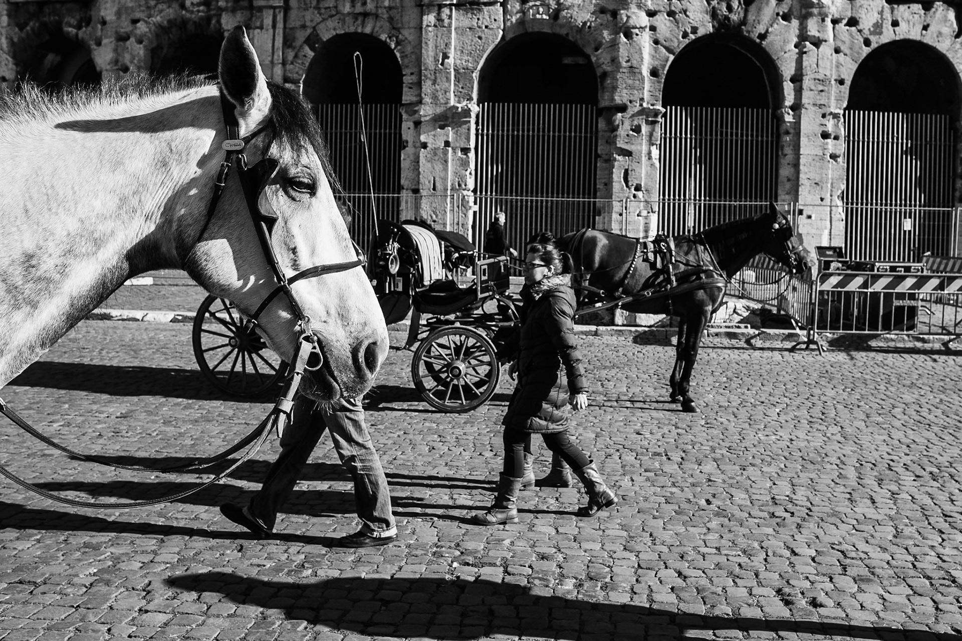cavalli e carrozze al Colosseo