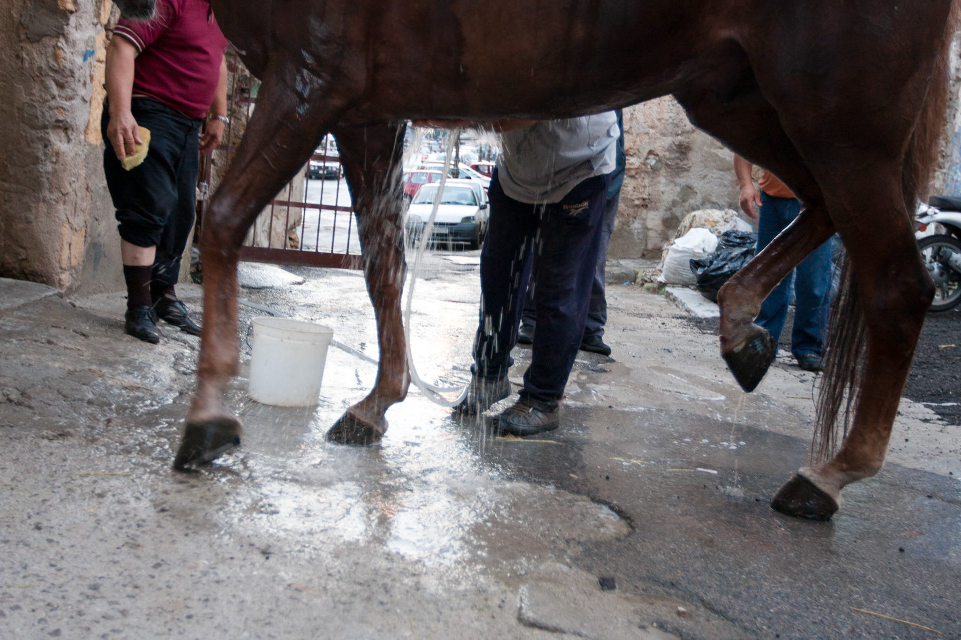 Reportage "Franco Franchi"  - Palermo 2009