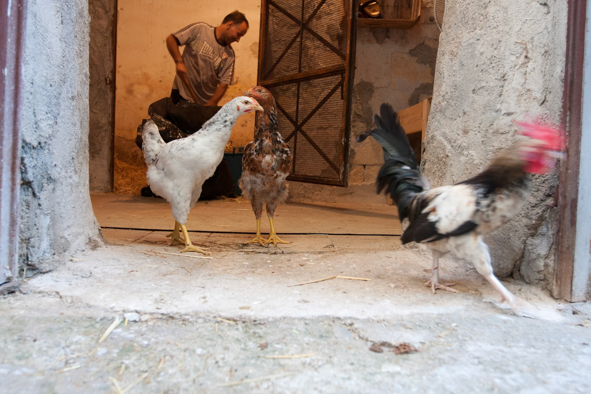 Reportage "Franco Franchi"  - Palermo 2009