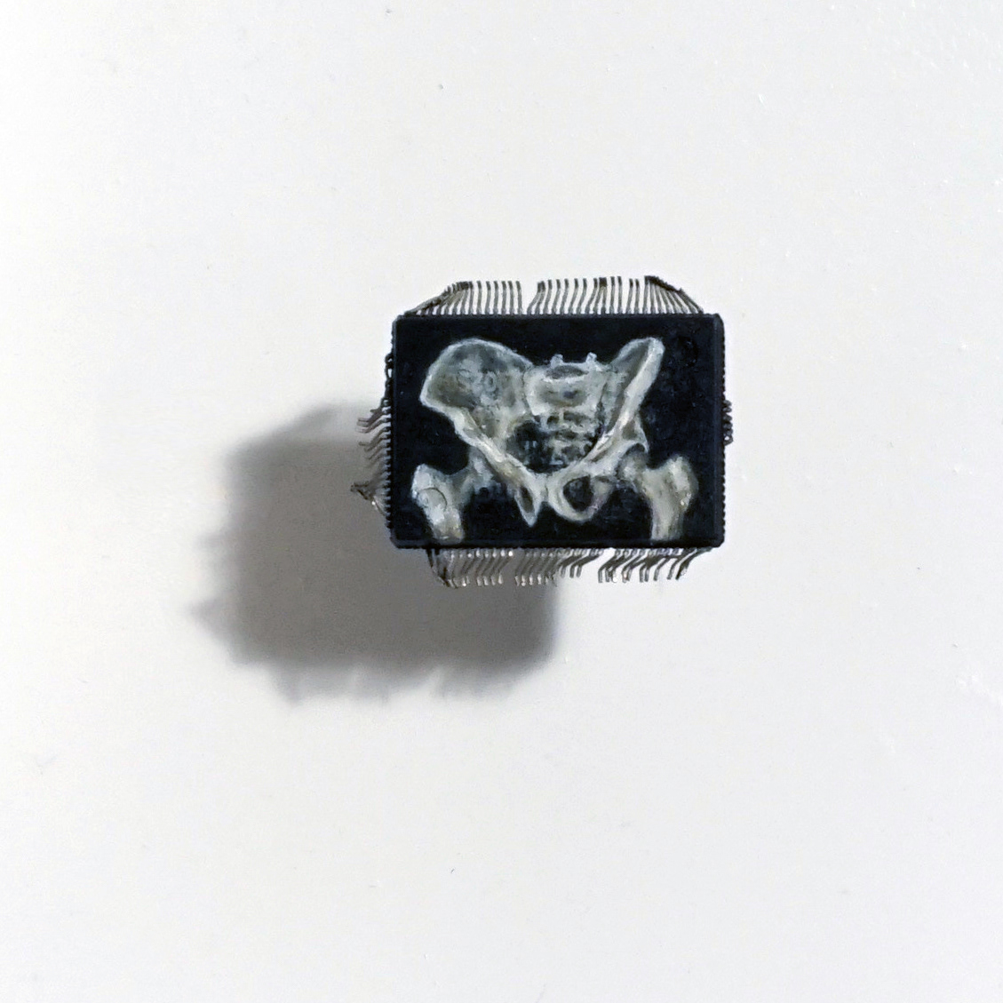 Pelvis, OIl paint on microchip, 2015