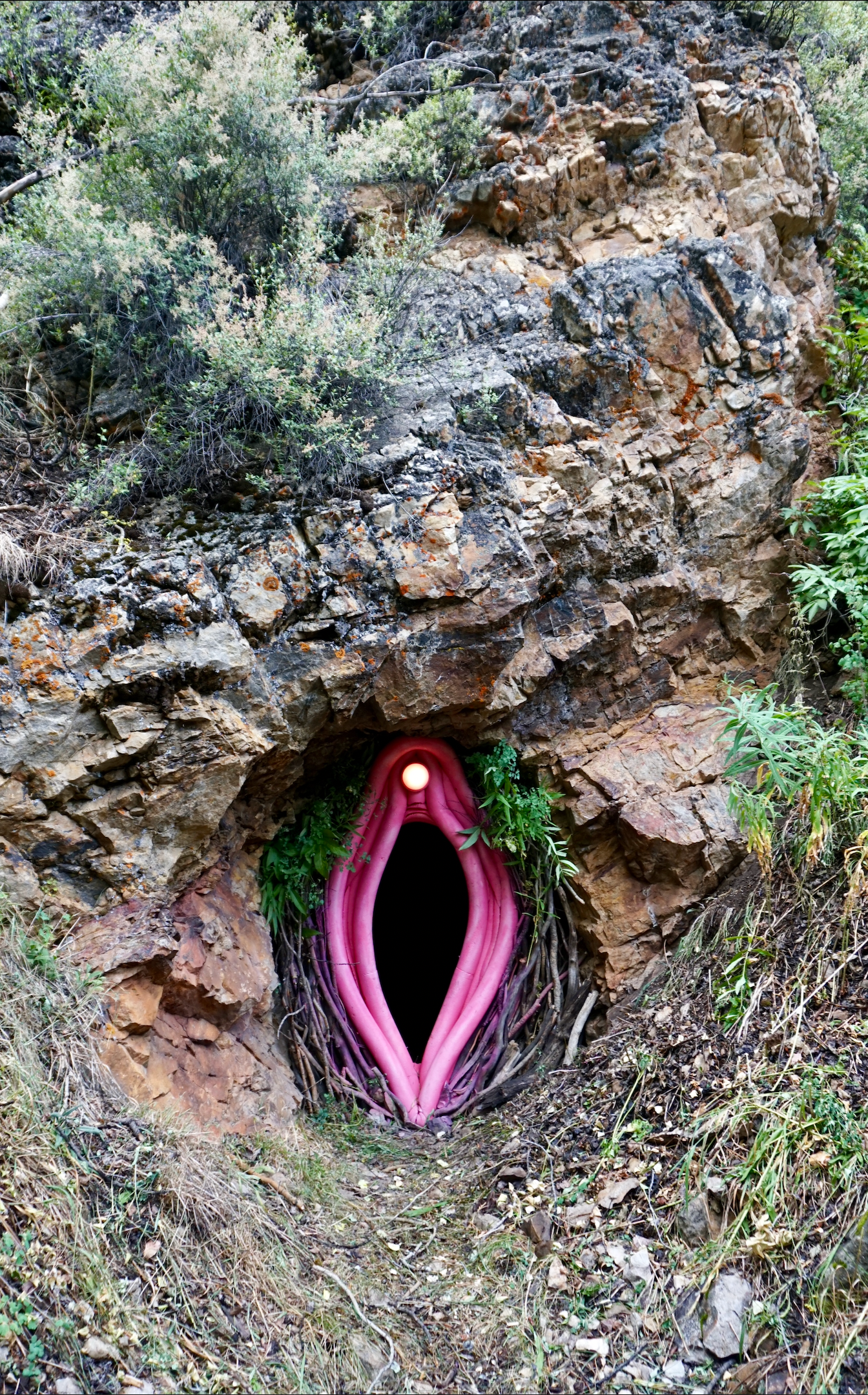 Visitors enter through the vulva of Nature