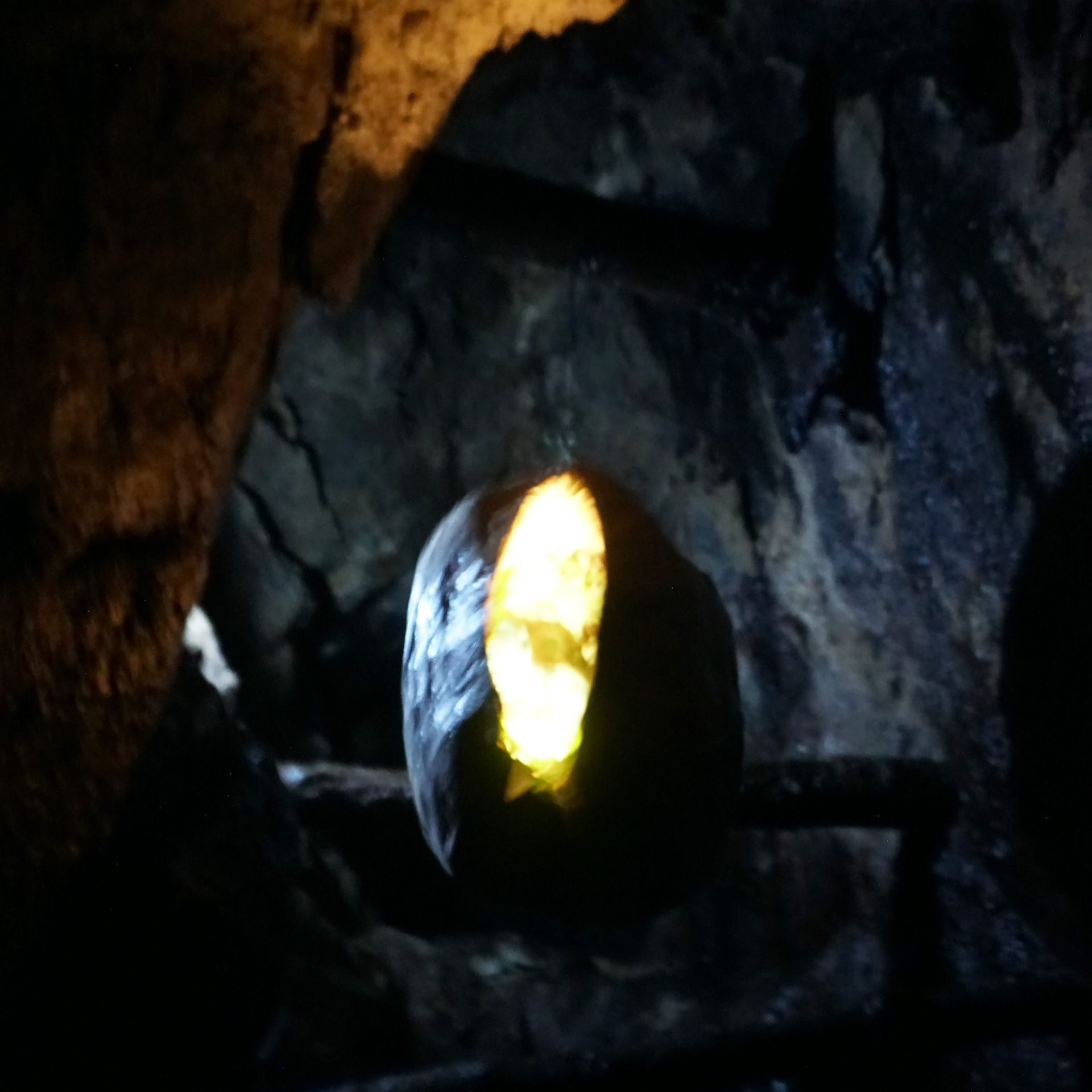 At the end of the tunnel they find the womb of Nature