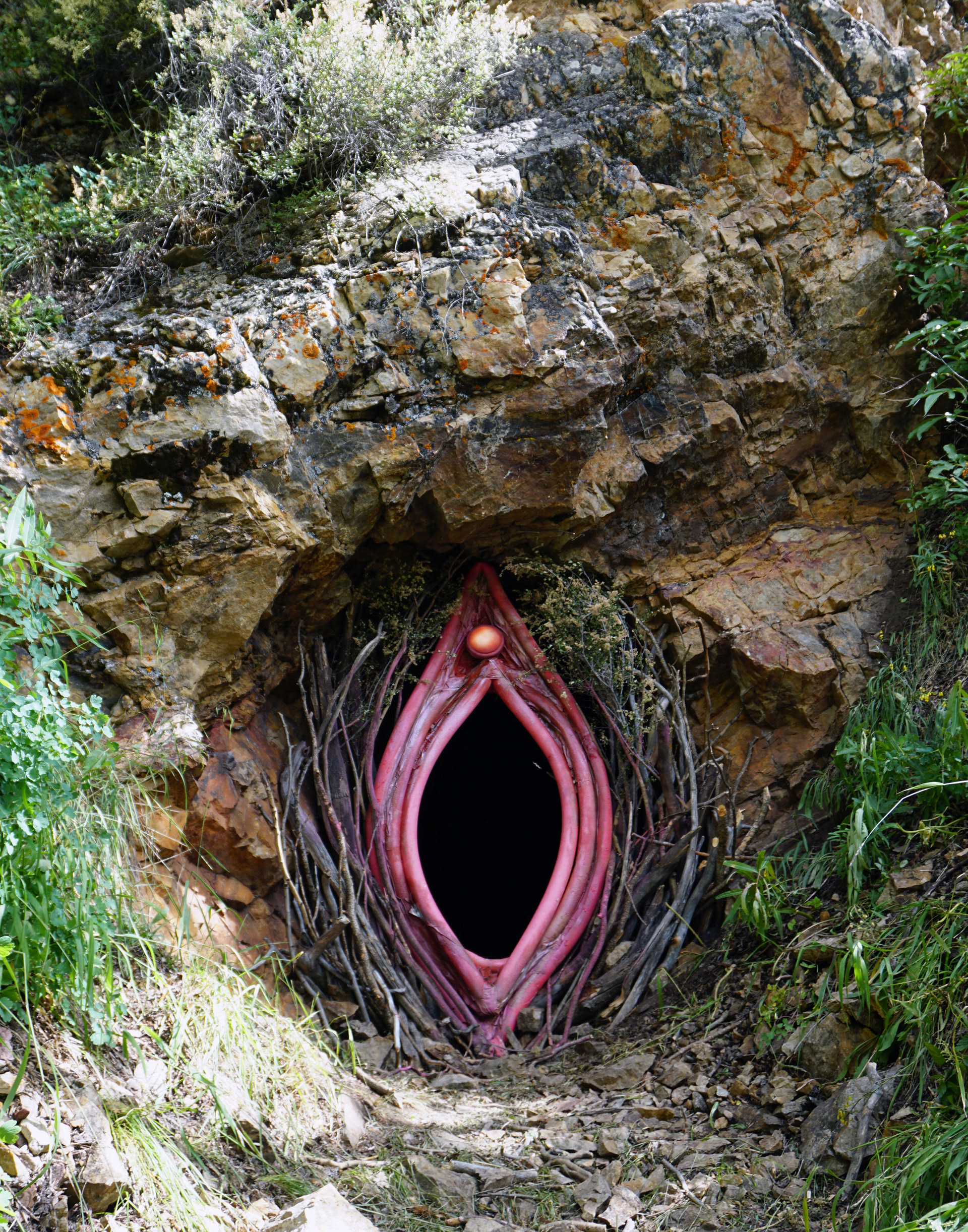 Visitors enter through the vulva of Nature